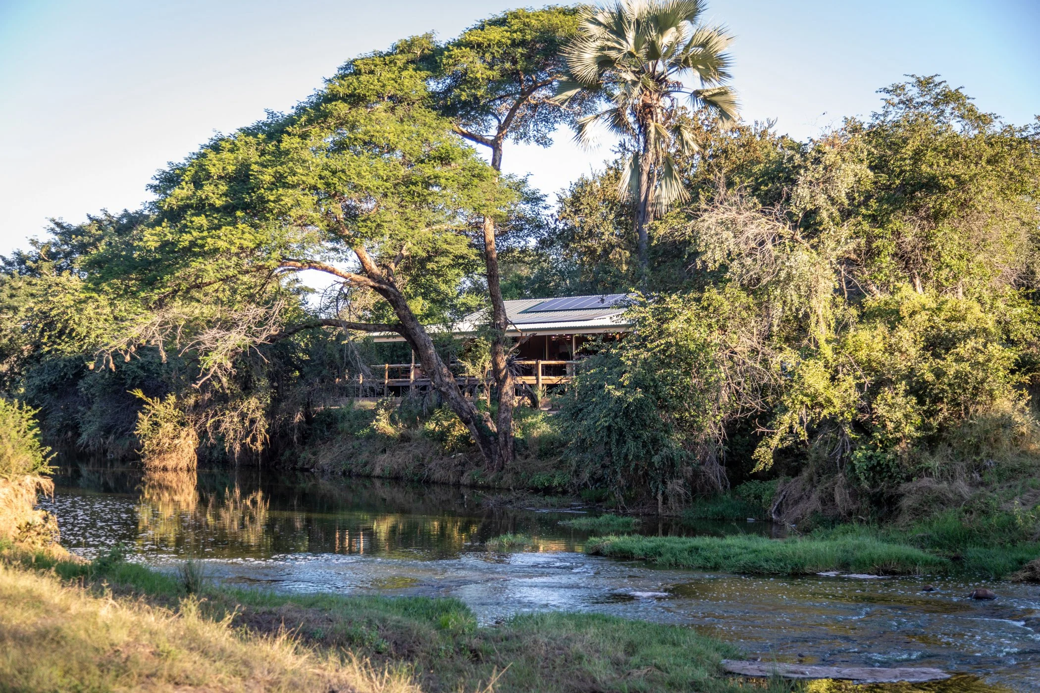 Ilala-Lodge-Experience-Elephant-Walk-01.jpg