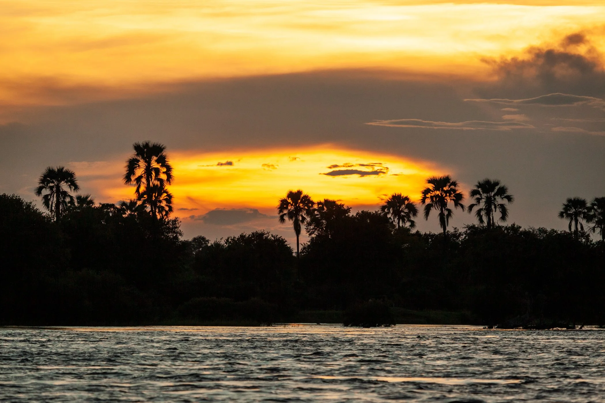 Ilala-Lodge-Experience-River-Cruise-Sunset-32.jpg