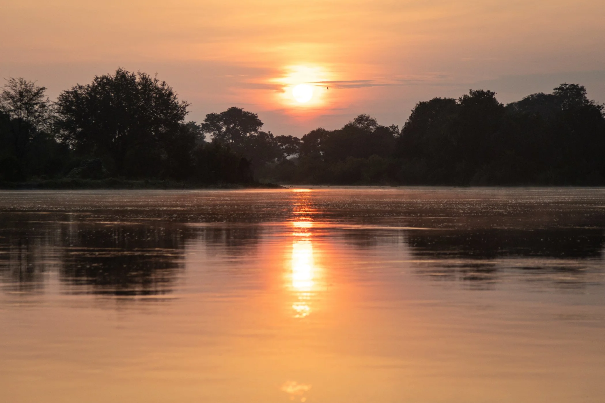 Ilala-Lodge-Experience-River-Cruise-Sunrise-14.jpg