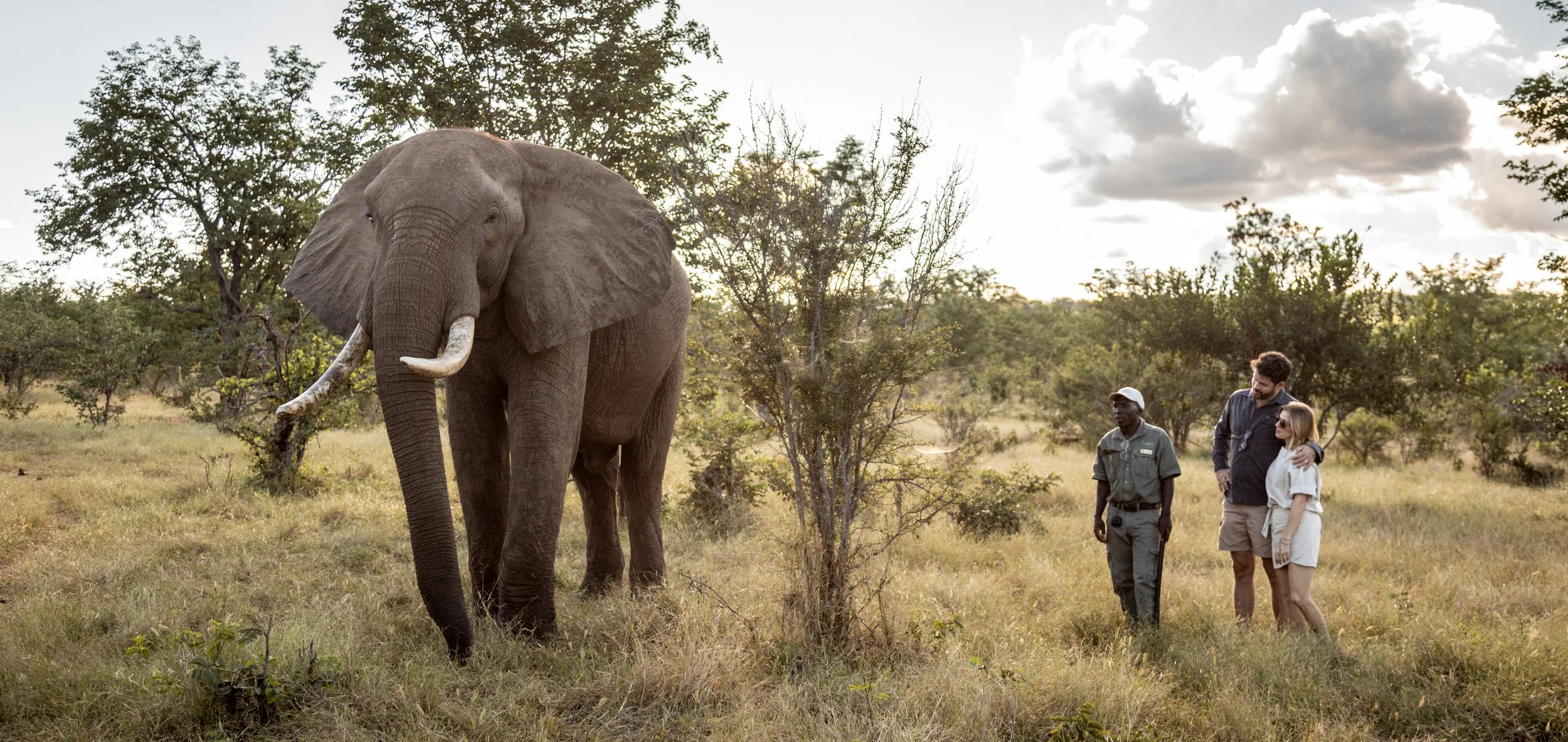 Ilala-Lodge-Experience-Elephant-Walk-25.jpg