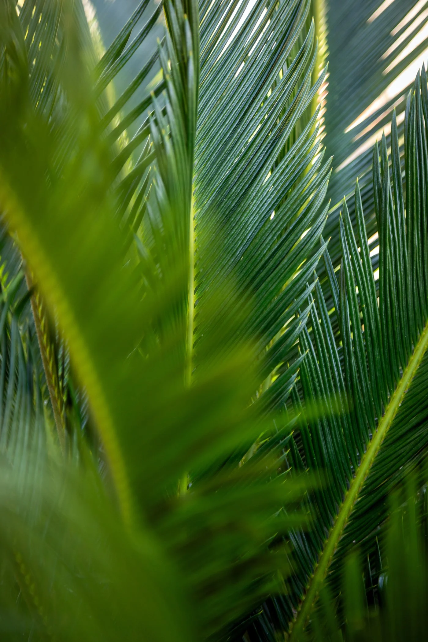 Ilala-Lodge-Exteriors-31.jpg