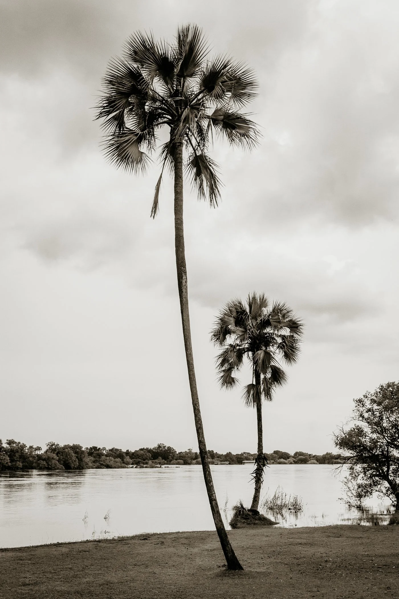 Ilala-Lodge-Experience-Zambezi-River-Deck-01.jpg