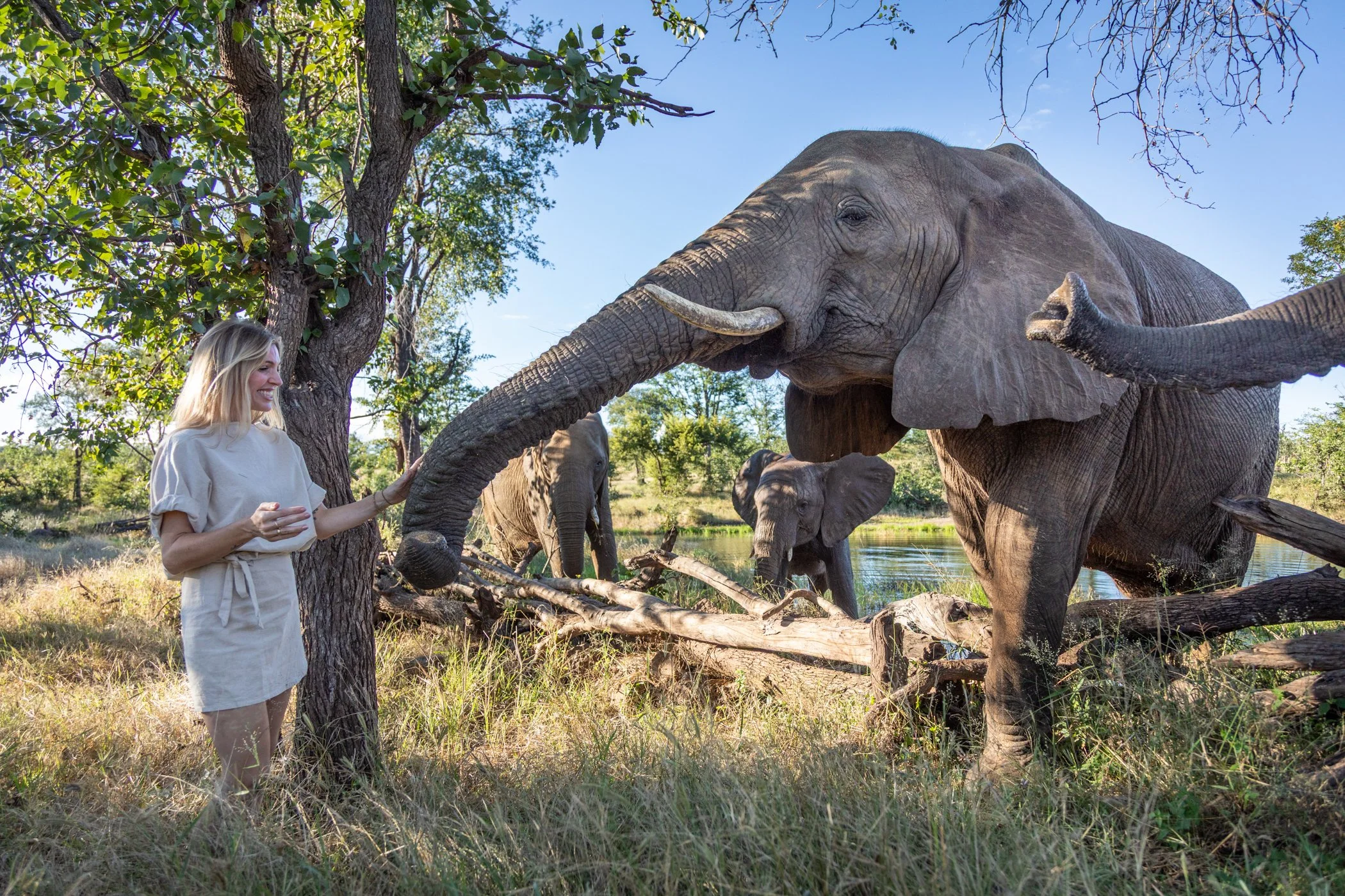 Ilala-Lodge-Experience-Elephant-Walk-45.jpg