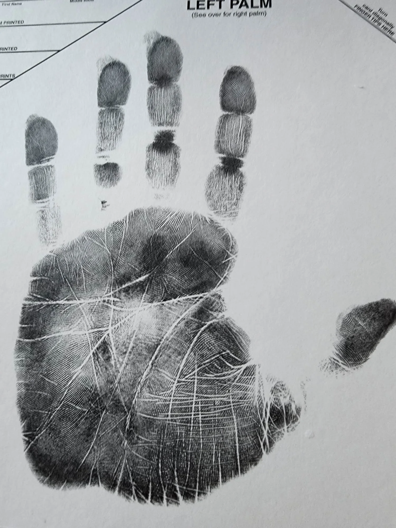 Tina Hands.jpg