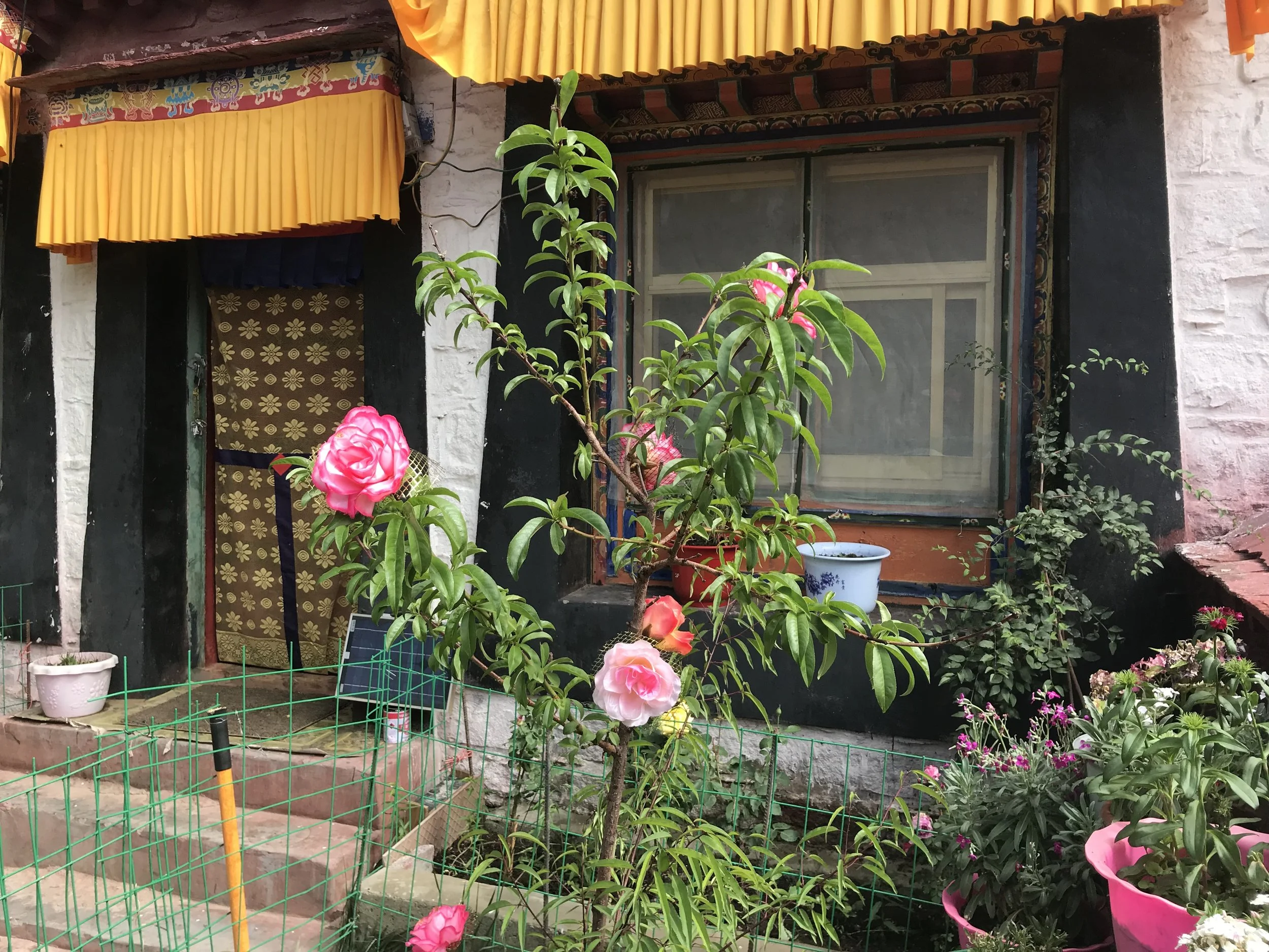Tsogyal Latso Nun's Quarters