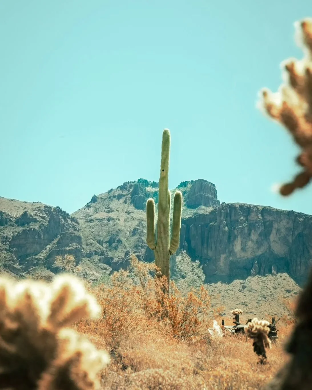 ✨️Saguaro💅🏻✨️

&ndash;&ndash;&ndash;&ndash;&ndash;&ndash;&ndash;&ndash;&ndash;&ndash;&ndash;&ndash;&ndash;&ndash;&ndash;&ndash;&ndash;&ndash;&ndash;&ndash;&ndash;&ndash;&ndash;&ndash;&ndash;&ndash;&ndash;&ndash;&ndash;&ndash;&ndash;&ndash;&ndash;&n