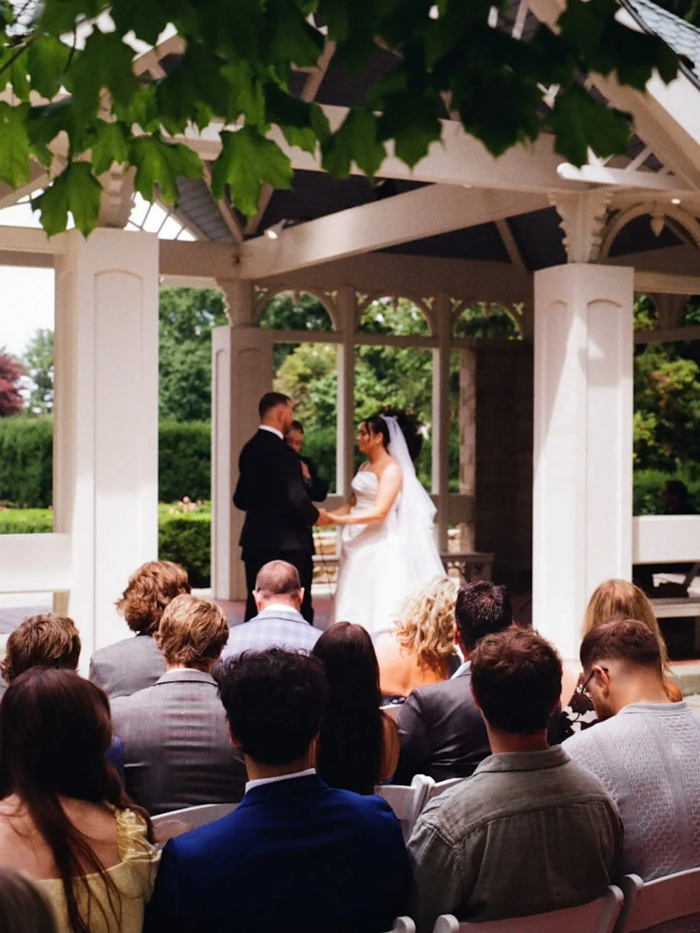 #ColorPlus200 is film of the summer ✨️

I've had the fortune of slipping into wedding photography in my "career" as a photographer.  Of my years taking photos, finding locations, and meeting clients&mdash;weddings kind of just happened.  Su