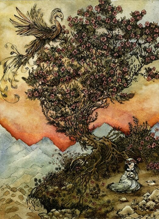 inherited stories:the juniper tree