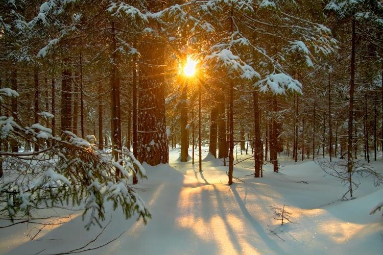 a missed solstice