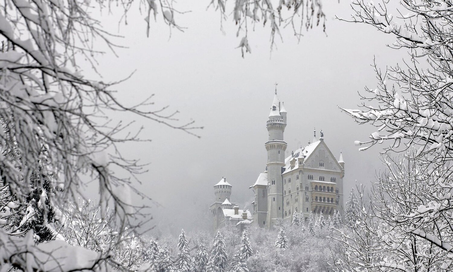 'The first fairytales were feminist critiques of patriarchy'