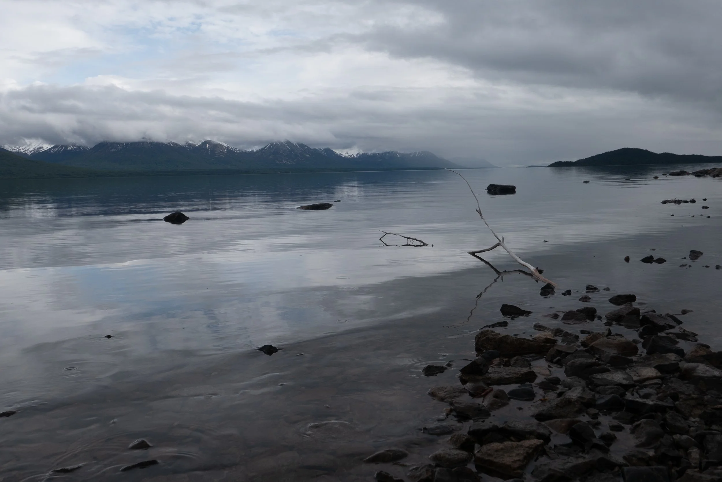 L1010111.jpg