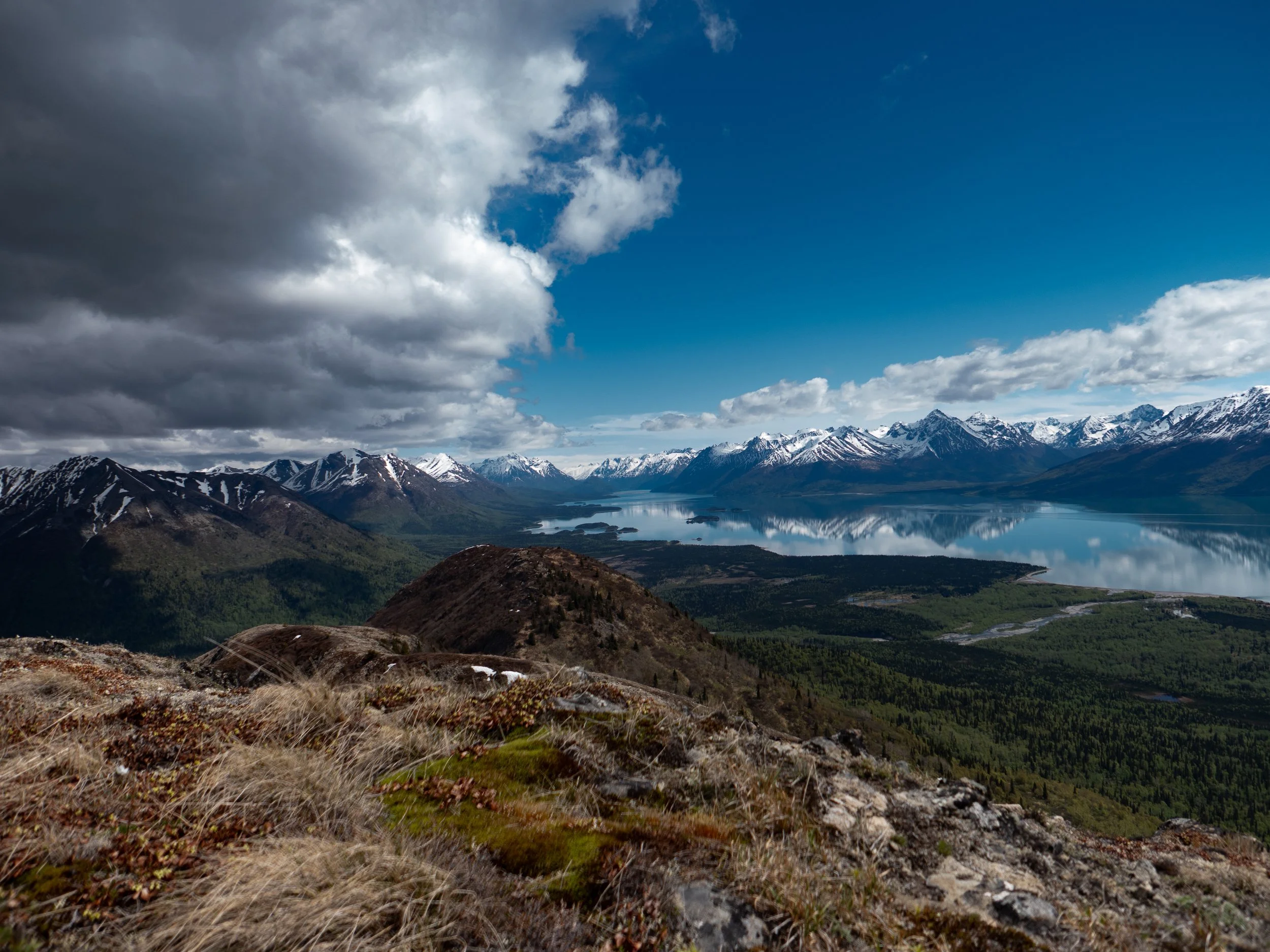 L1000583.jpg
