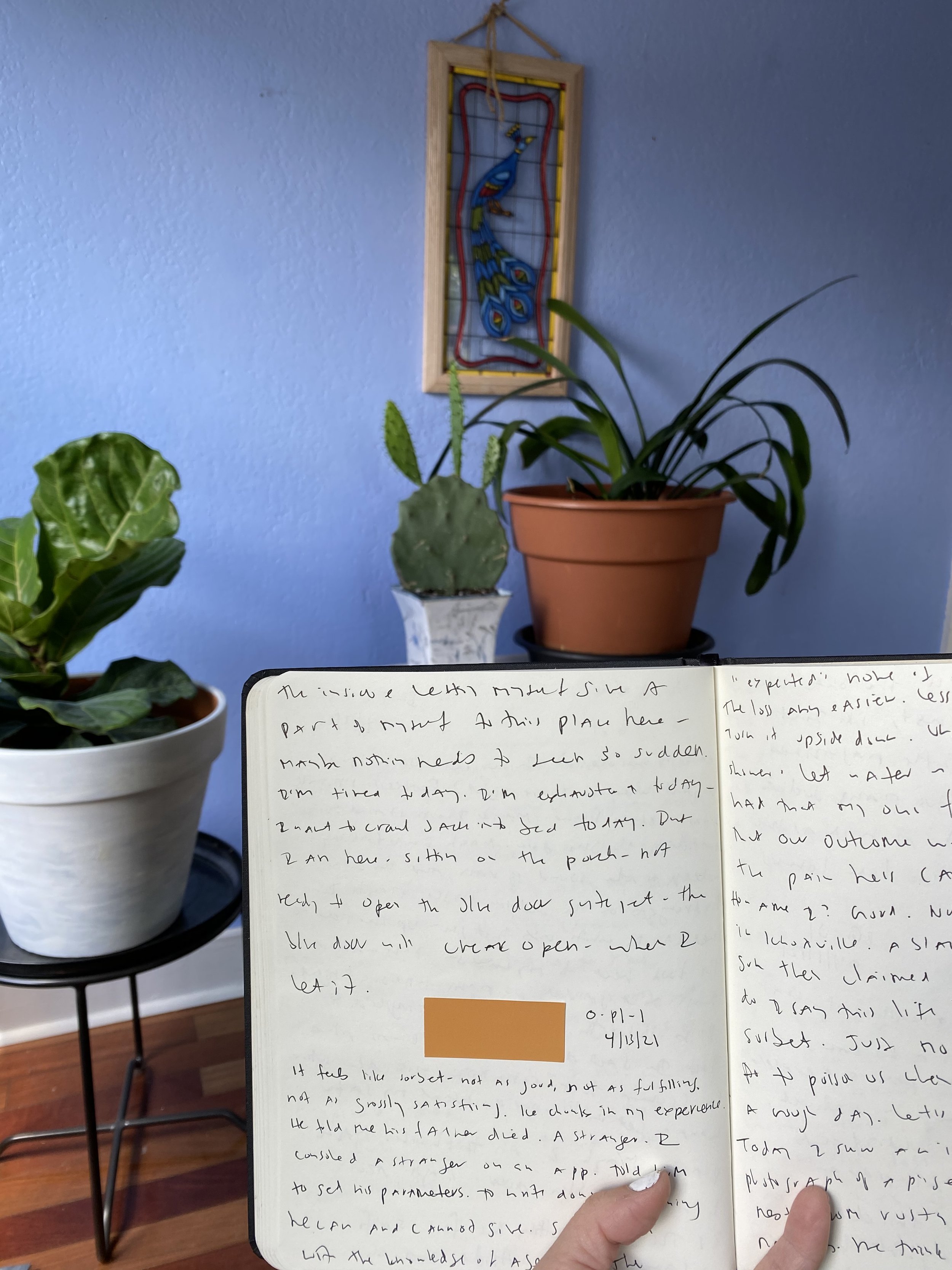 Notebook in a blue room with three plants and a peacock stained glass window