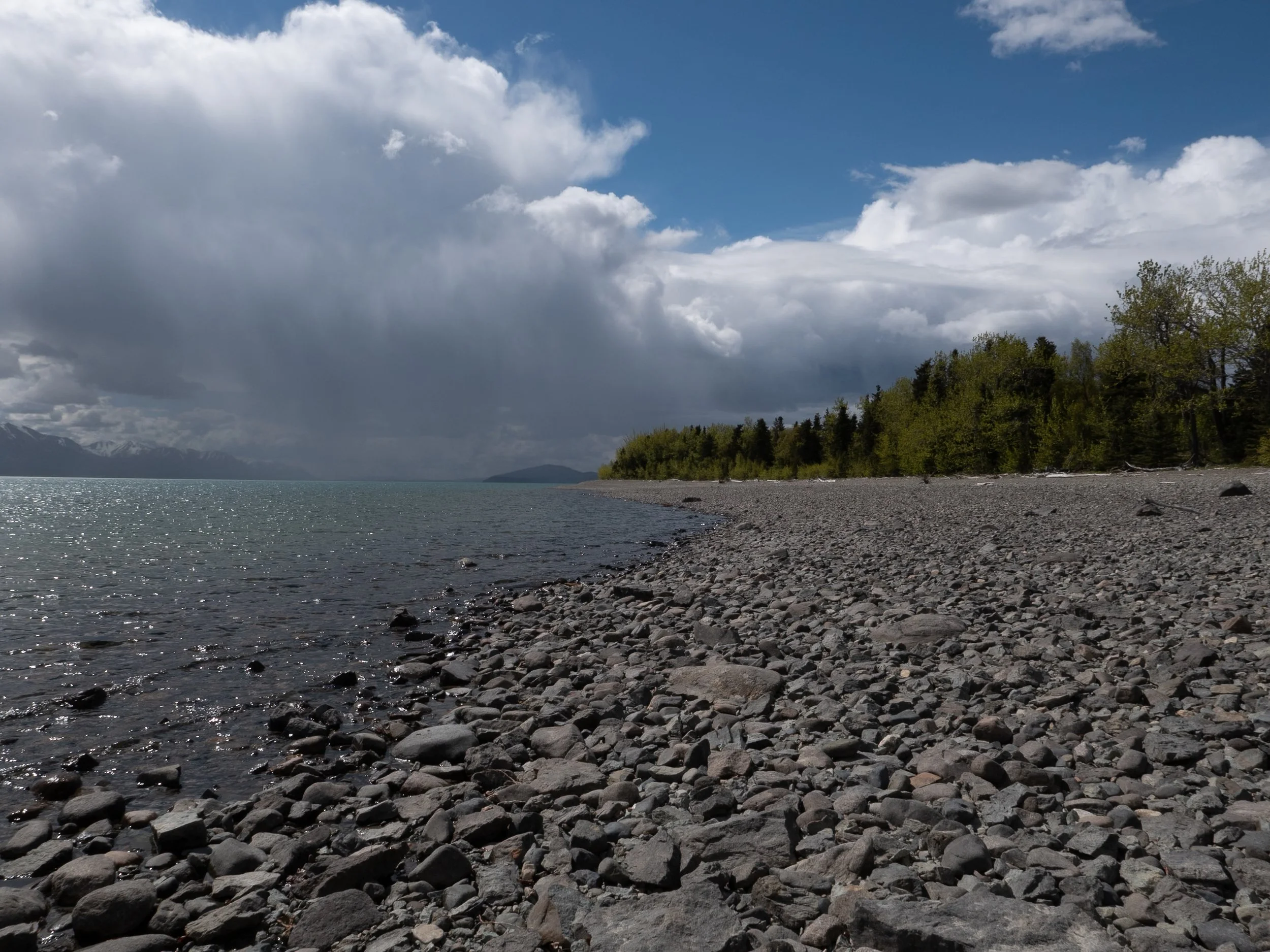 L1000733.jpg