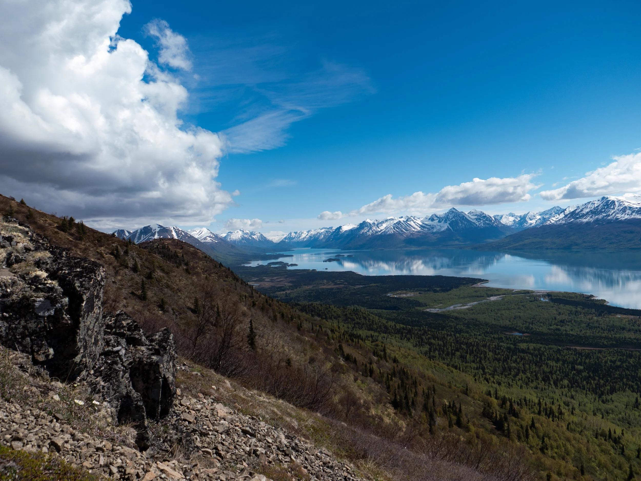 L1000540.jpg