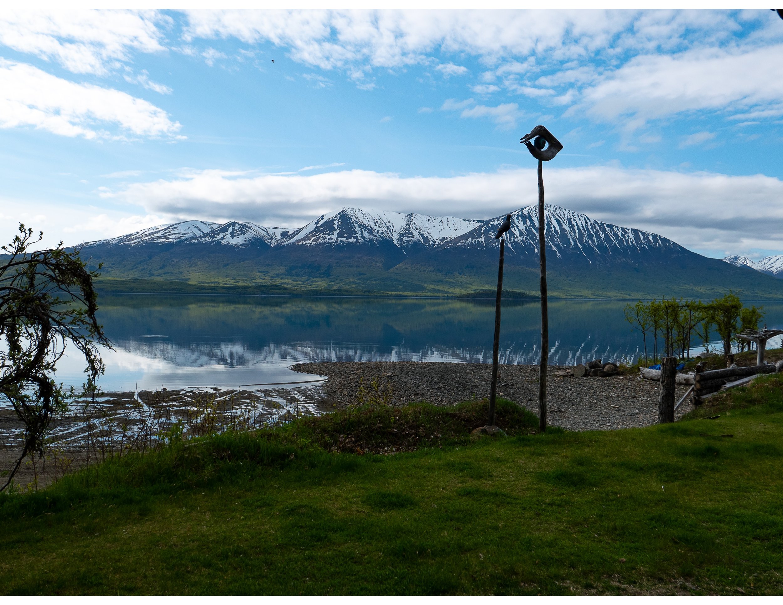 5.23.25 Morning Cabin View _ Chulitna Lodge.jpeg