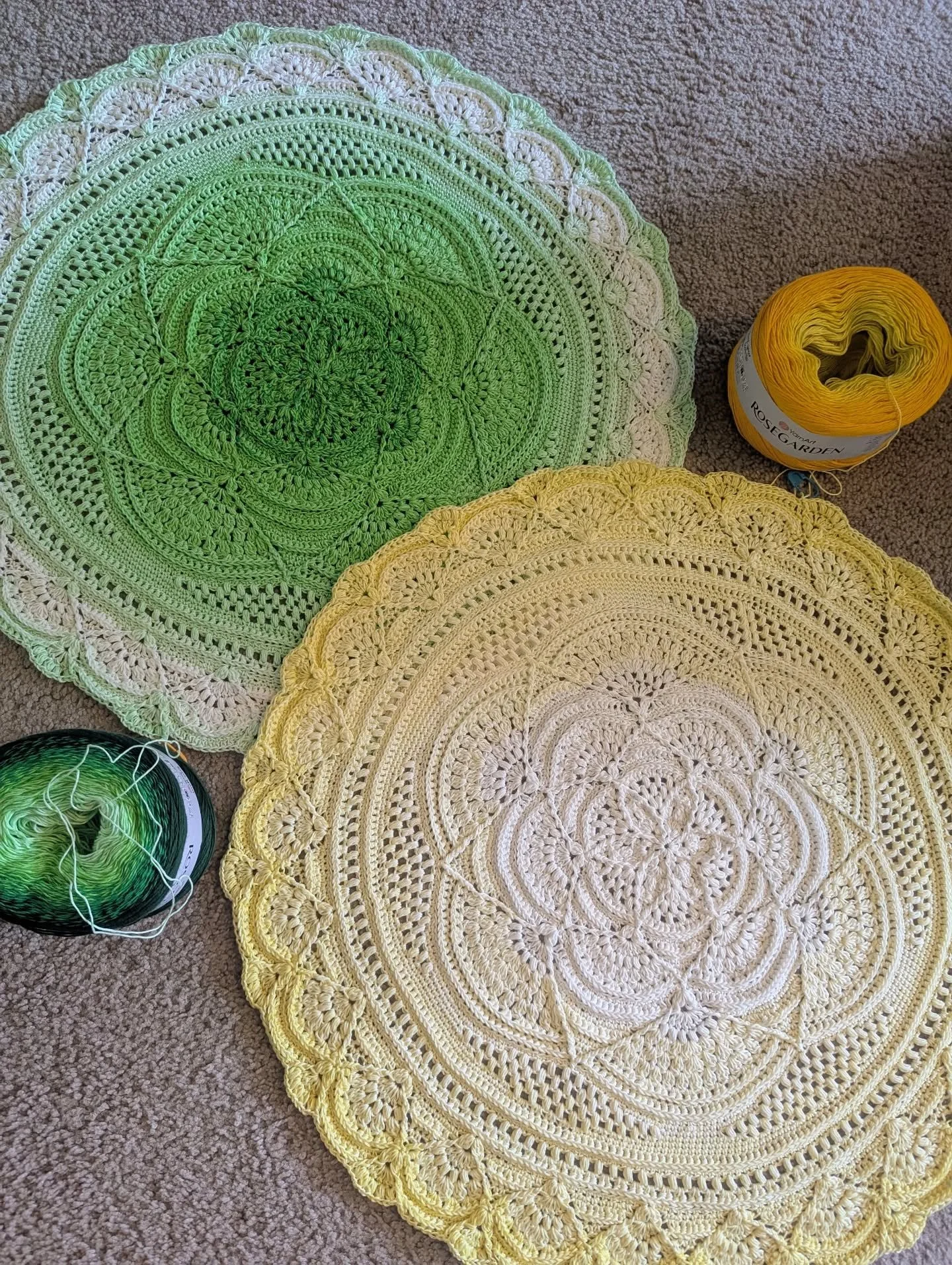Lily Pad 2 &amp; Sunshine Ripples
Round 48/69
#smallripples