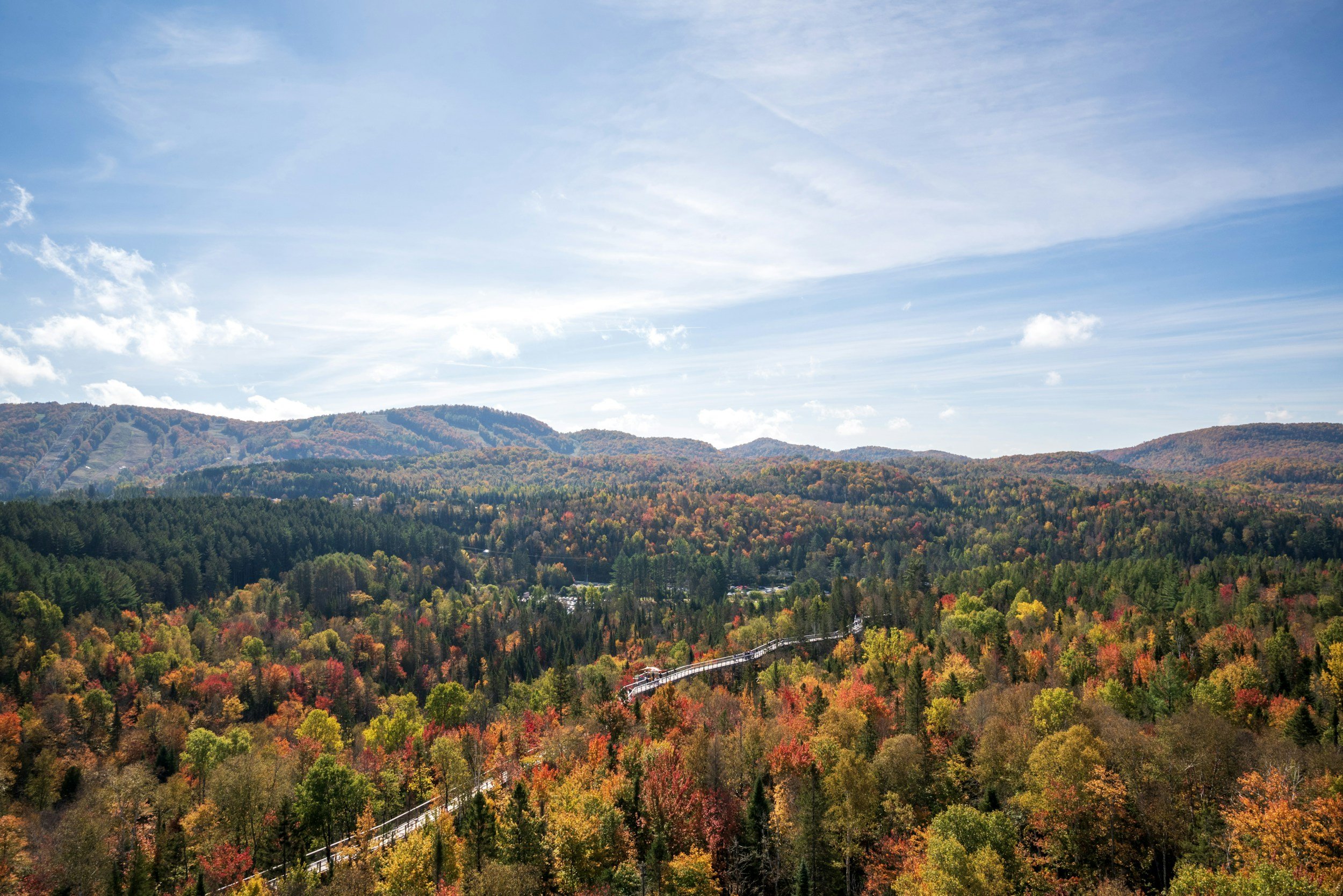Feuilles d'automne au Québec, un changement de saison propice à une séance de Reiki