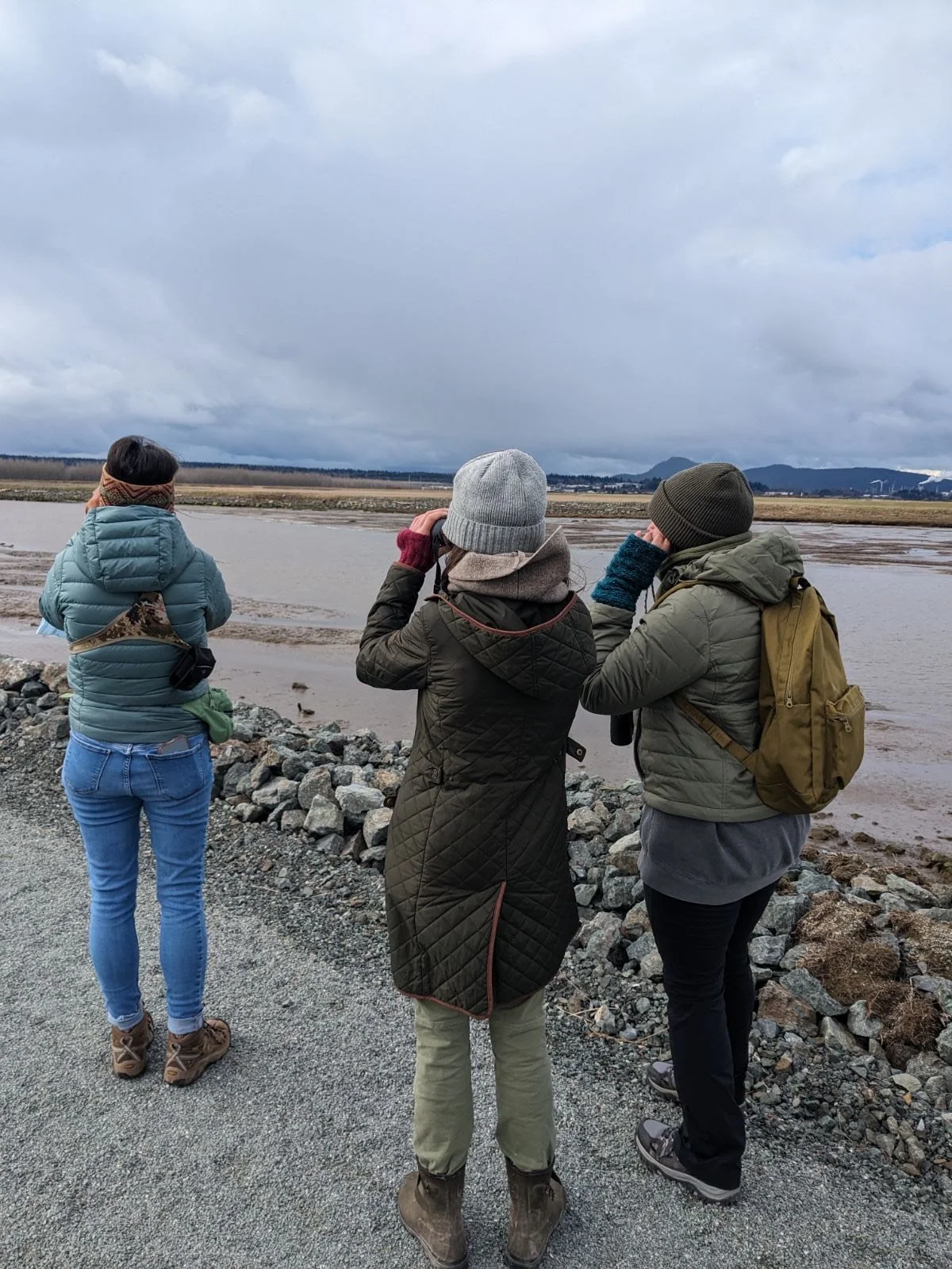 Member Program: Supporting Wild Birds and Working Landscapes In Skagit Valley