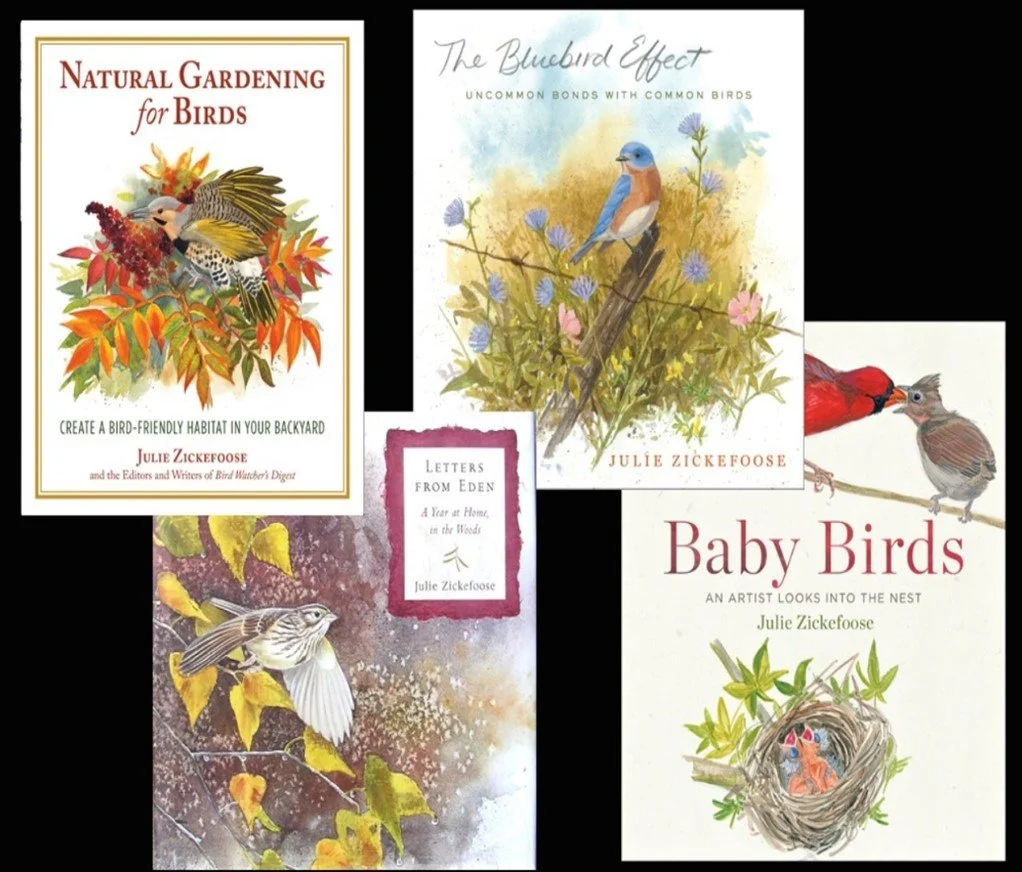 January Program-Zoom Only