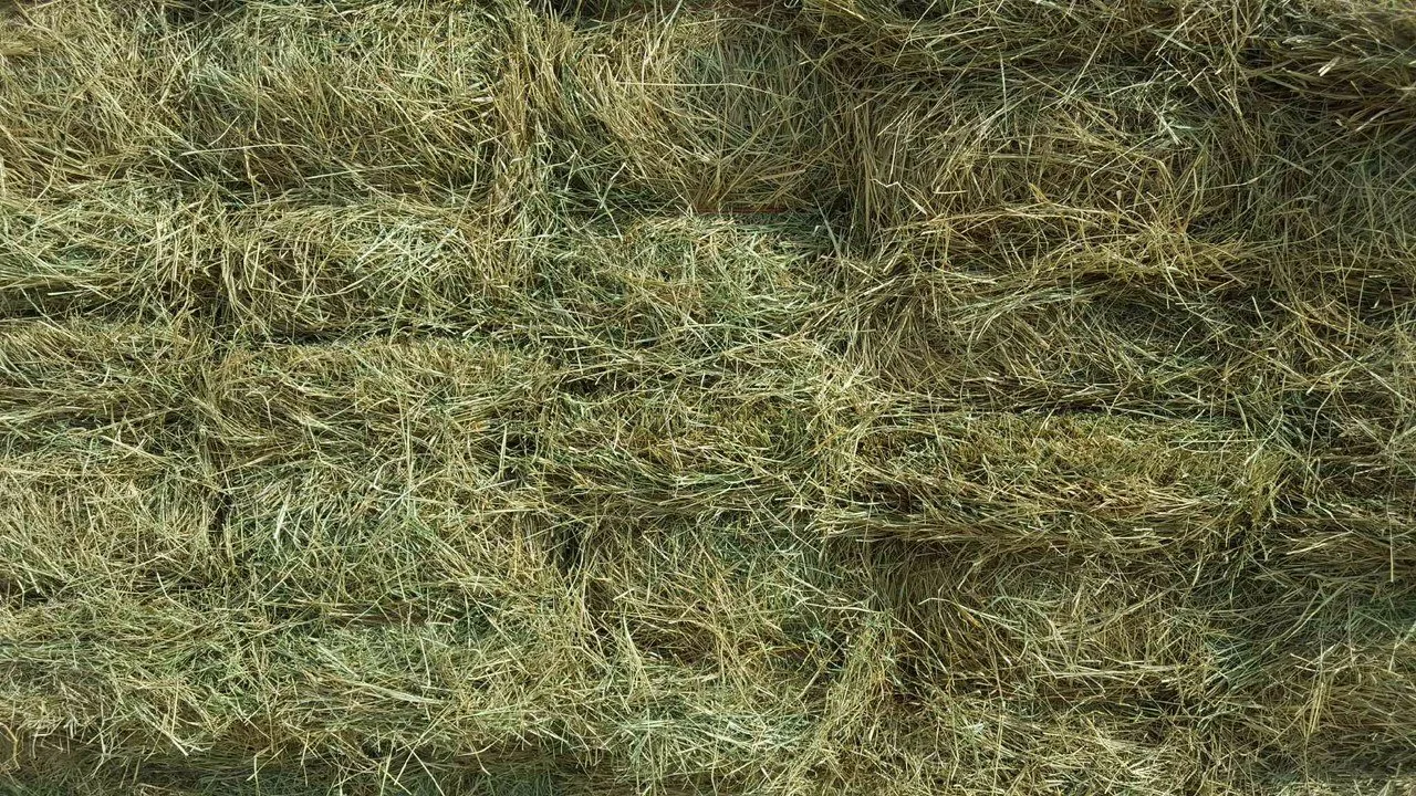 hay bails