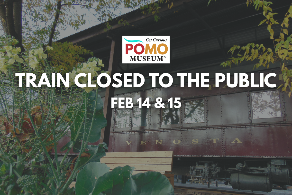 Train Closed to the Public