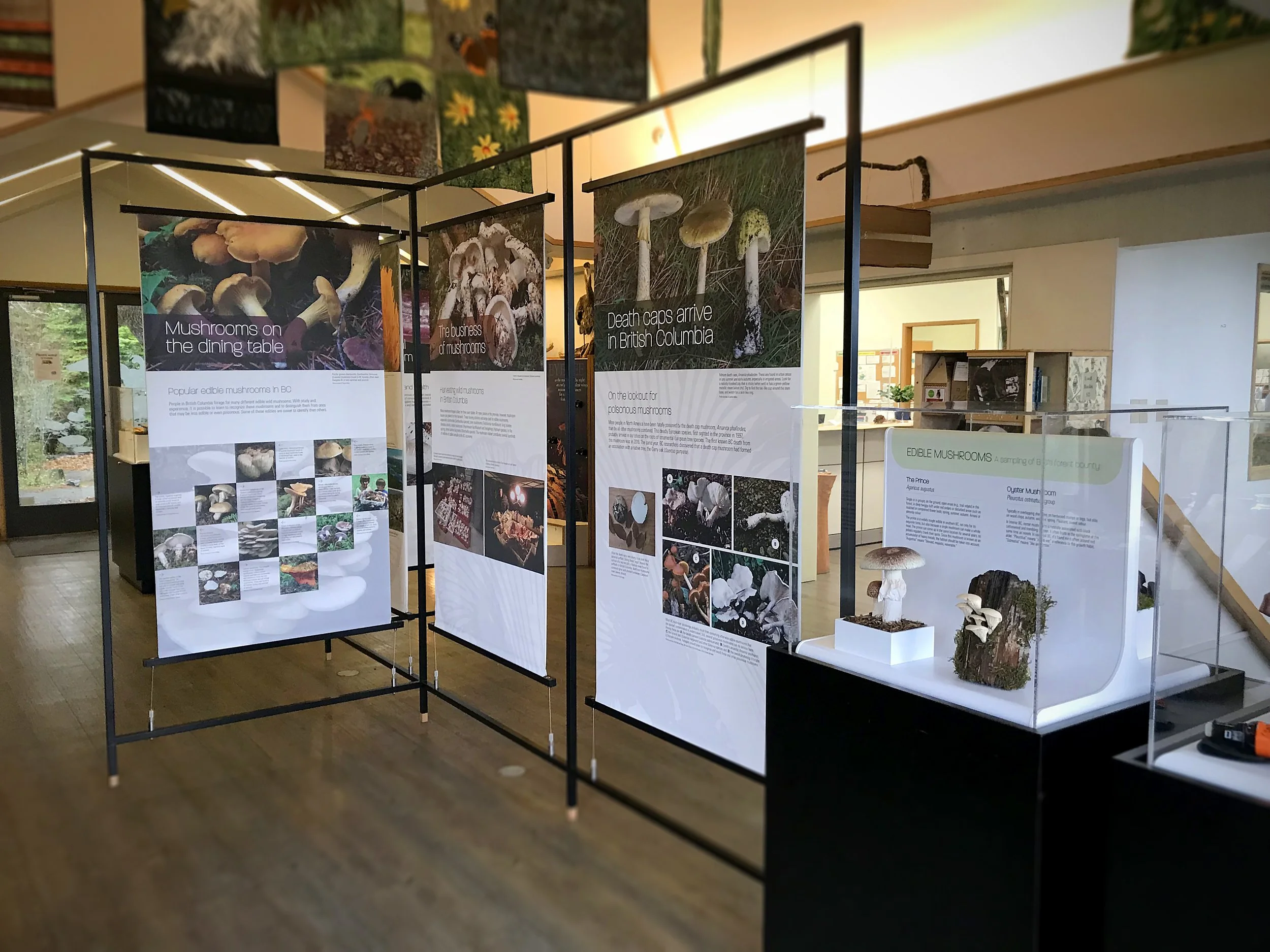 RBCM_Mushroom traveller exhibit_set up 1.jpg