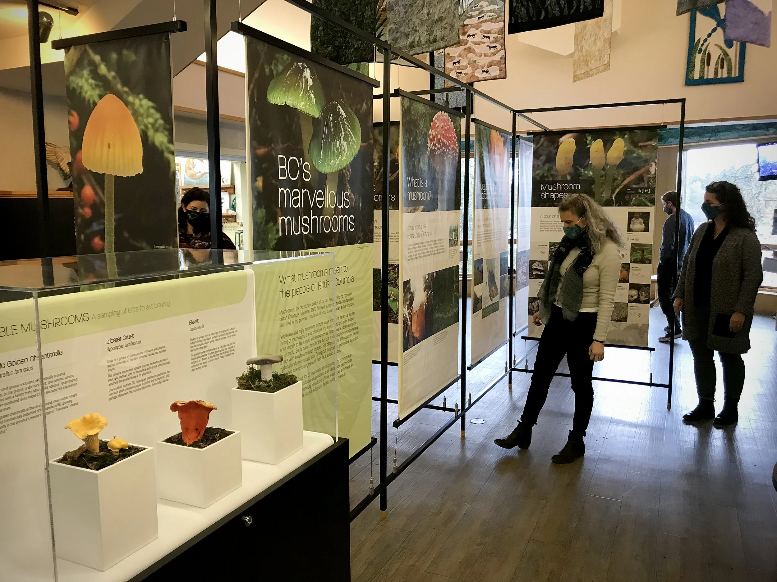 RBCM_Mushroom traveller exhibit_set up 3.jpg