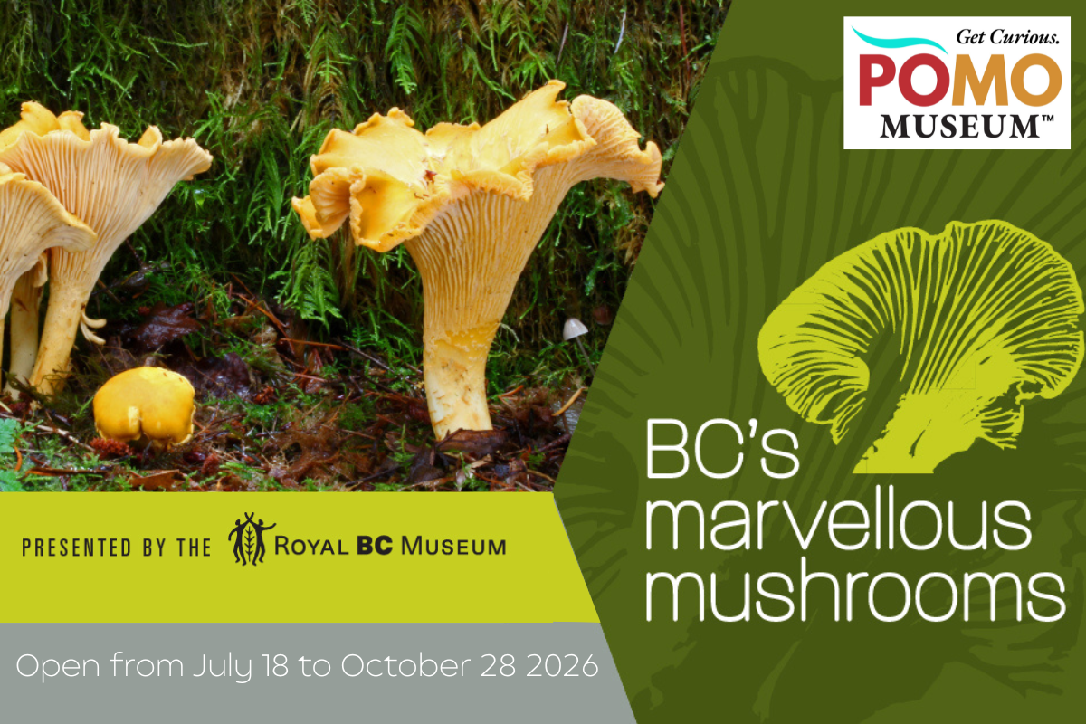 Marvellous Mushrooms Opening