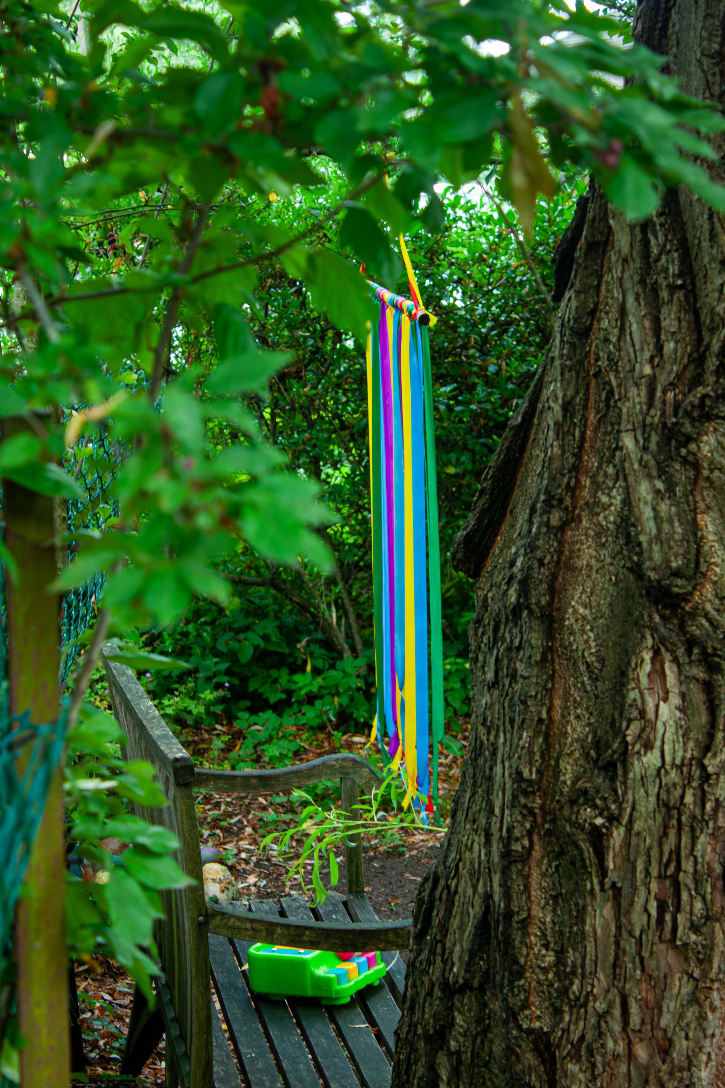 Curiosity Garden 7.jpg