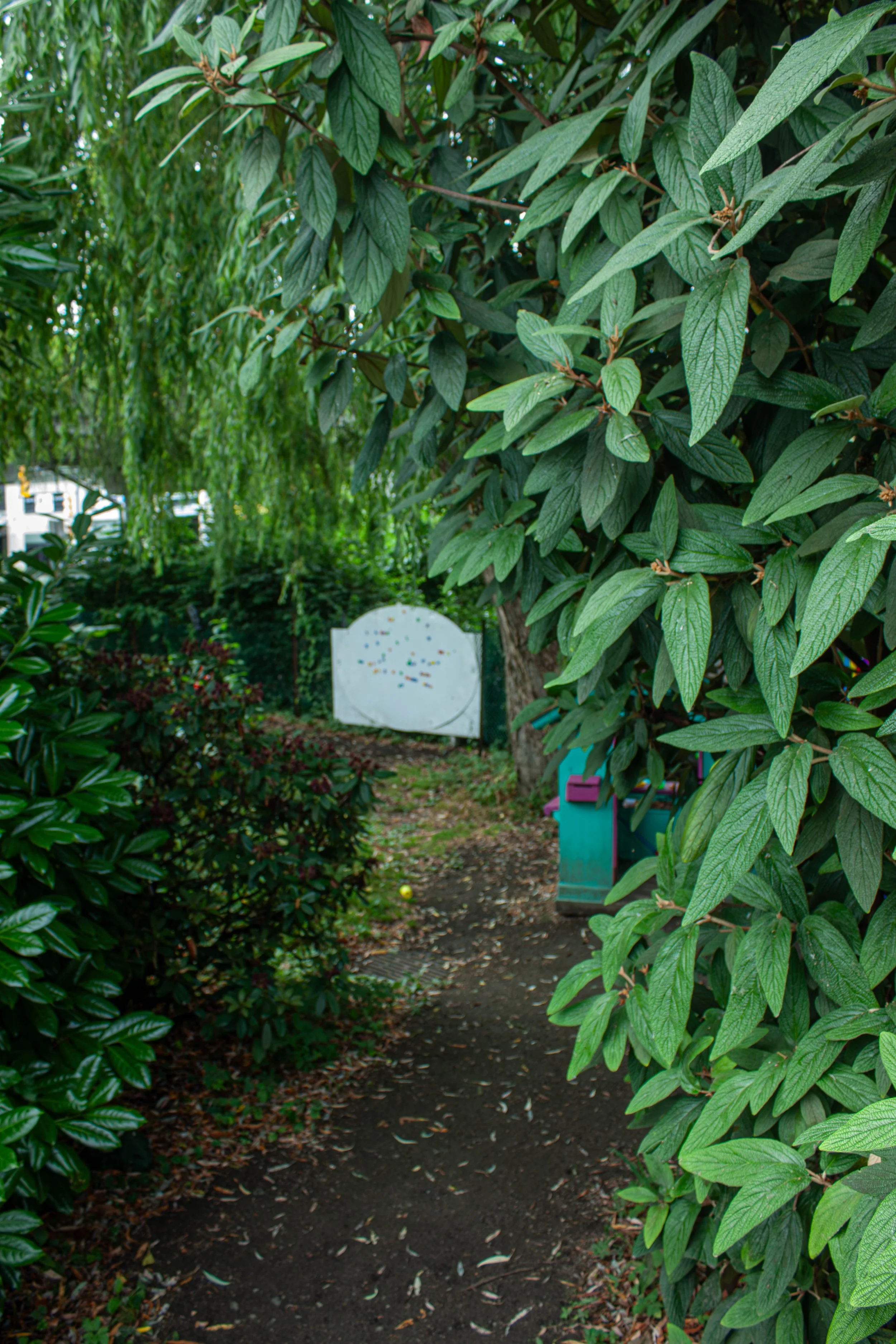 Curiosity Garden 1.jpg