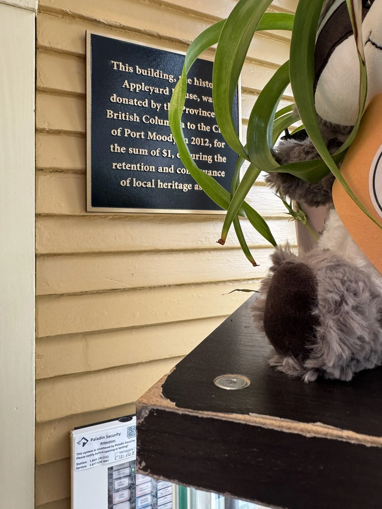 Rickie is at his first location! For one week, try to find Rickie somewhere in Port Moody... We gave a few hints in this post. Good luck! 

Remember, the more you find Rickie, the more chances you will get to win a prize. For more information, revisi