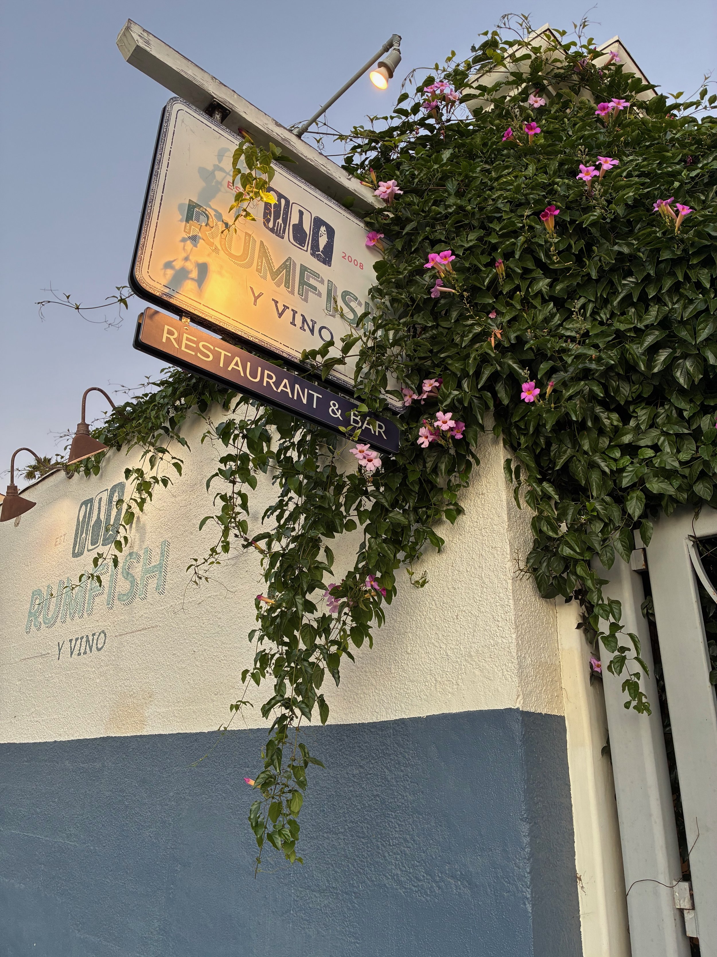 New Year, New You: Addressing Hormones, Belly Fat + Fatigue Naturally Free Dinner Seminar