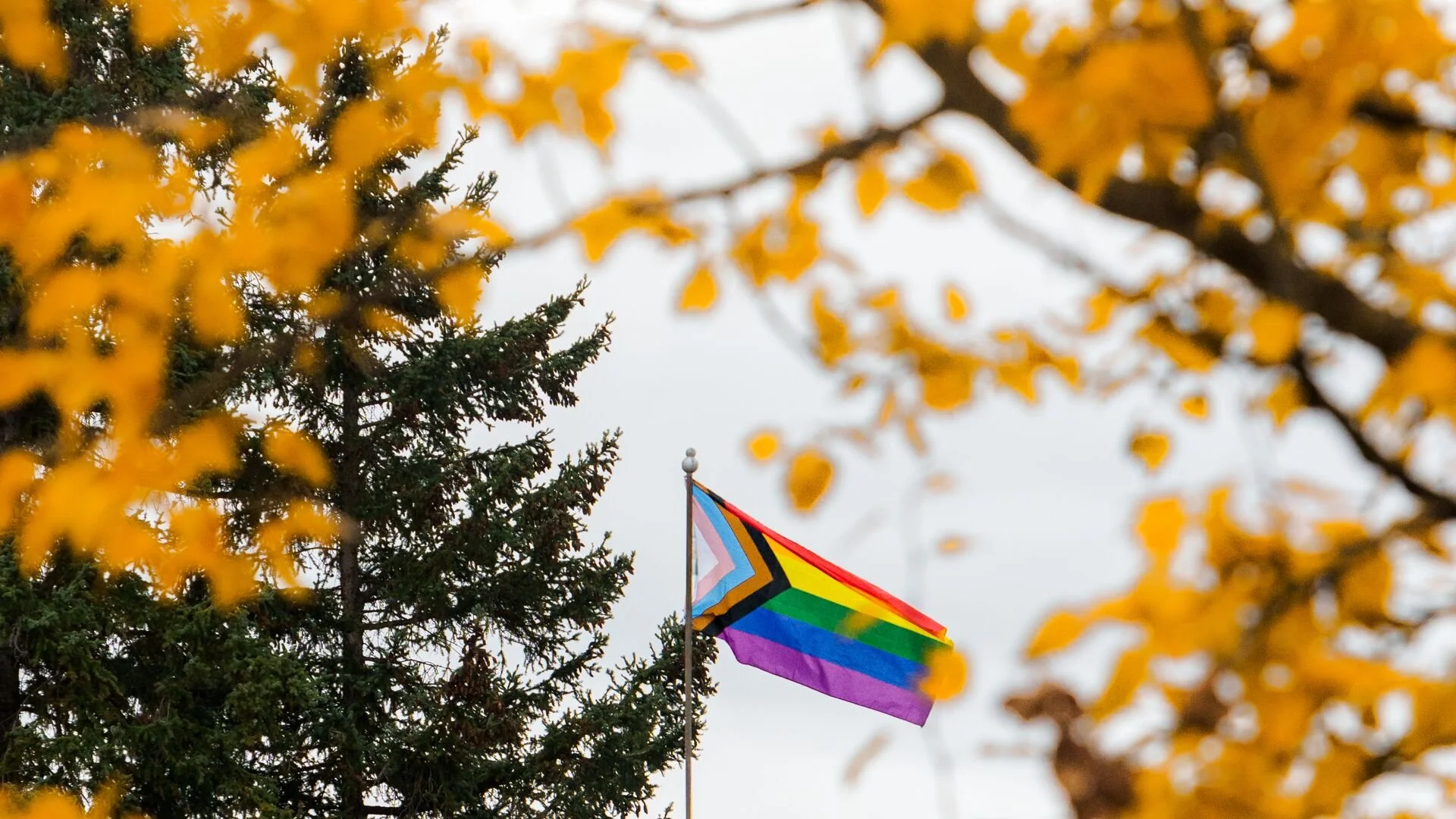 Creating Inclusive Event Spaces in Banff: A Practical Checklist for Venues and Event Planners