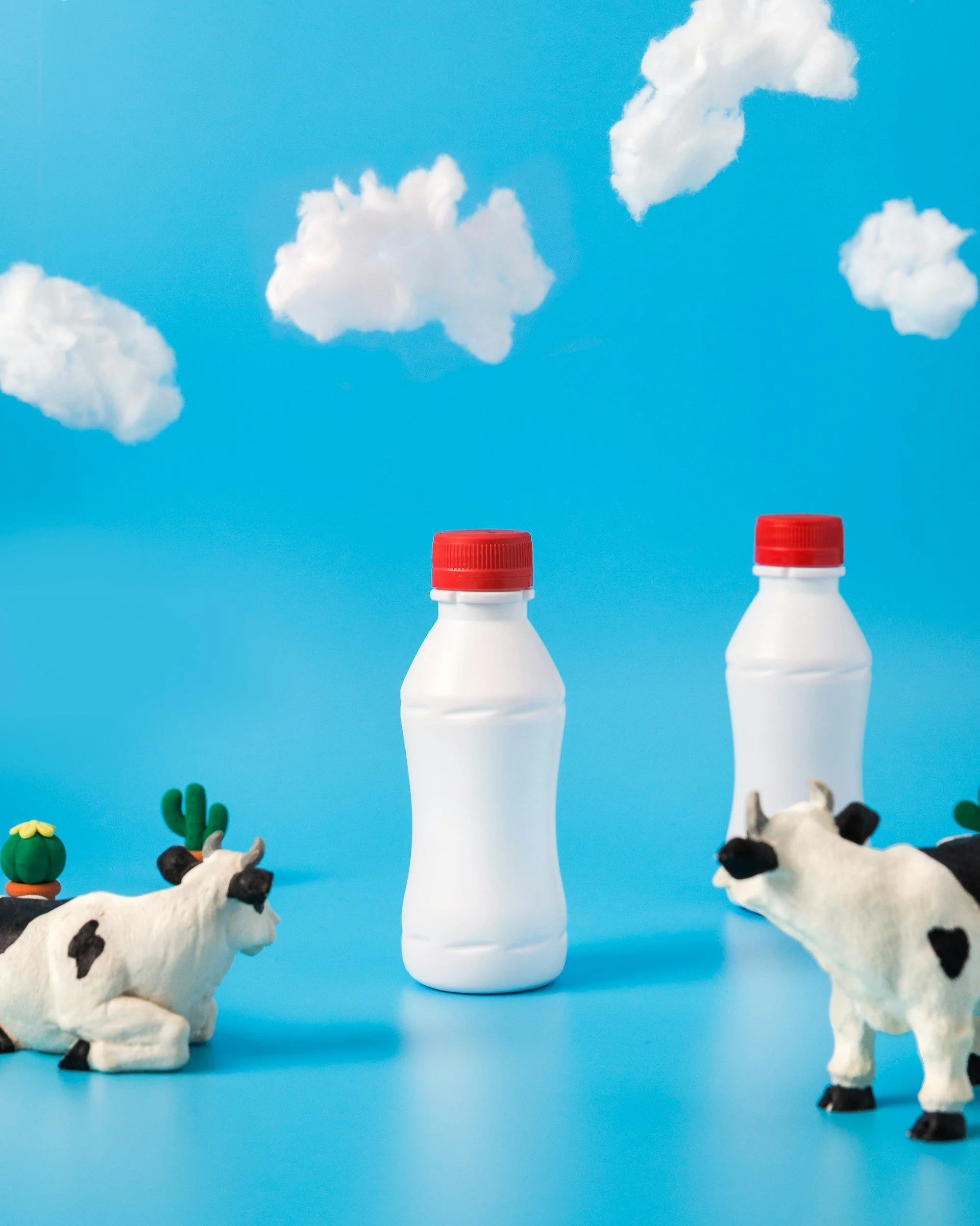 Monthly Dairy Sale