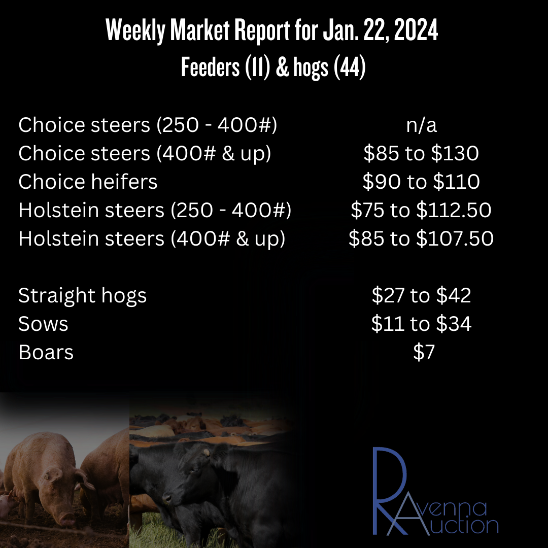 Market Reports — Ravenna Auction, LLC