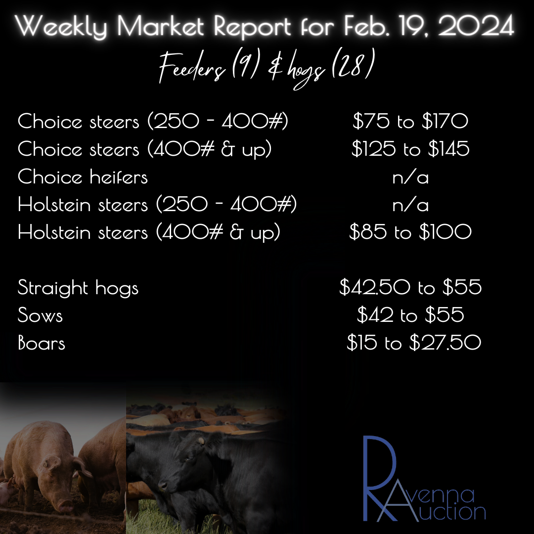 Market Reports — Ravenna Auction, LLC