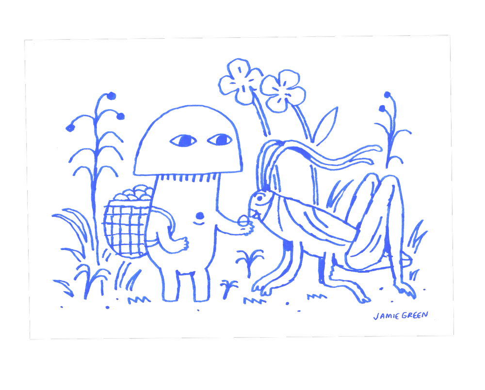 Jamie Green Illustration