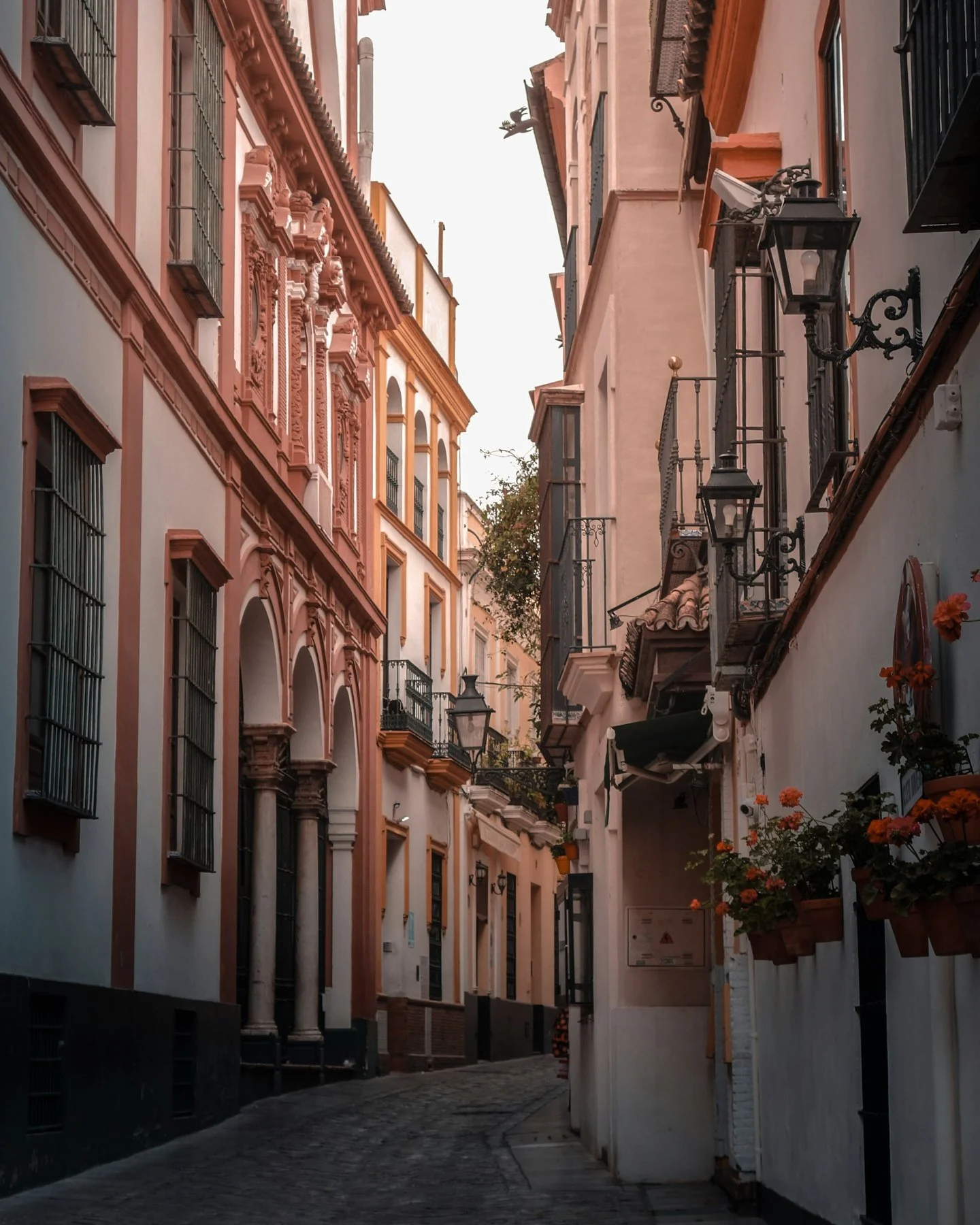 Seville00020.jpg
