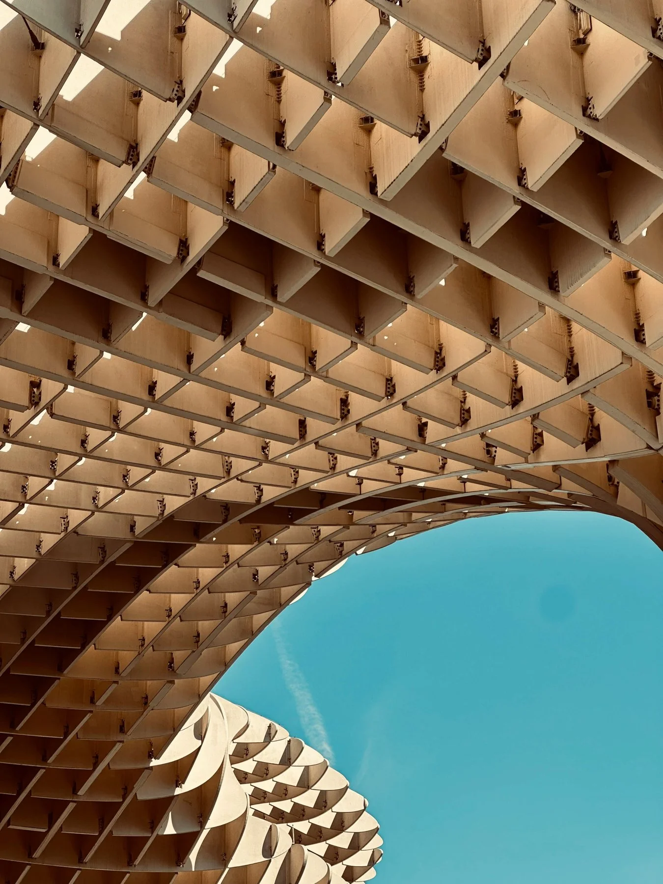Seville00032.jpg