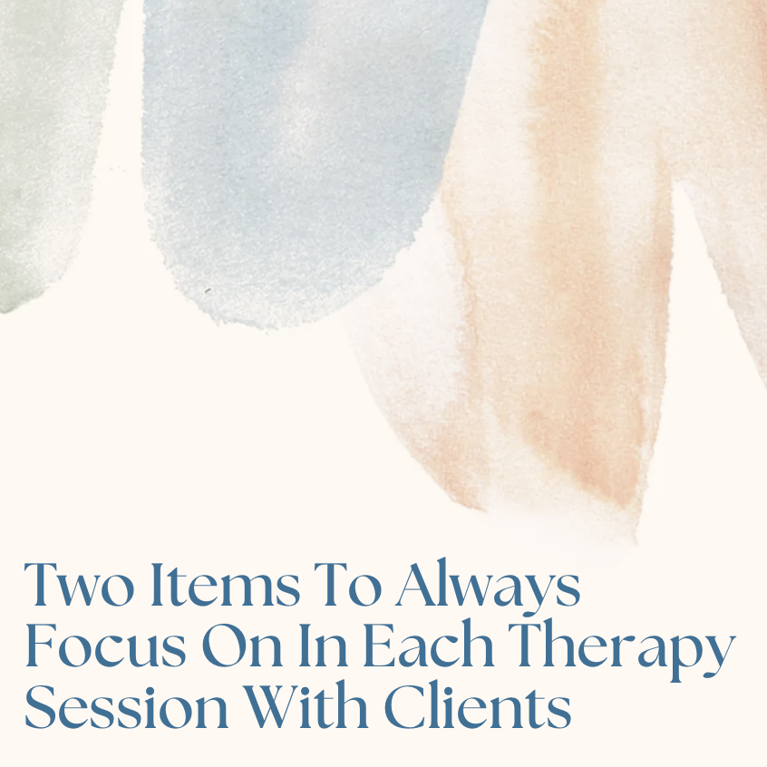 Two Items To Always Focus On In Each Therapy Session as a Therapist 