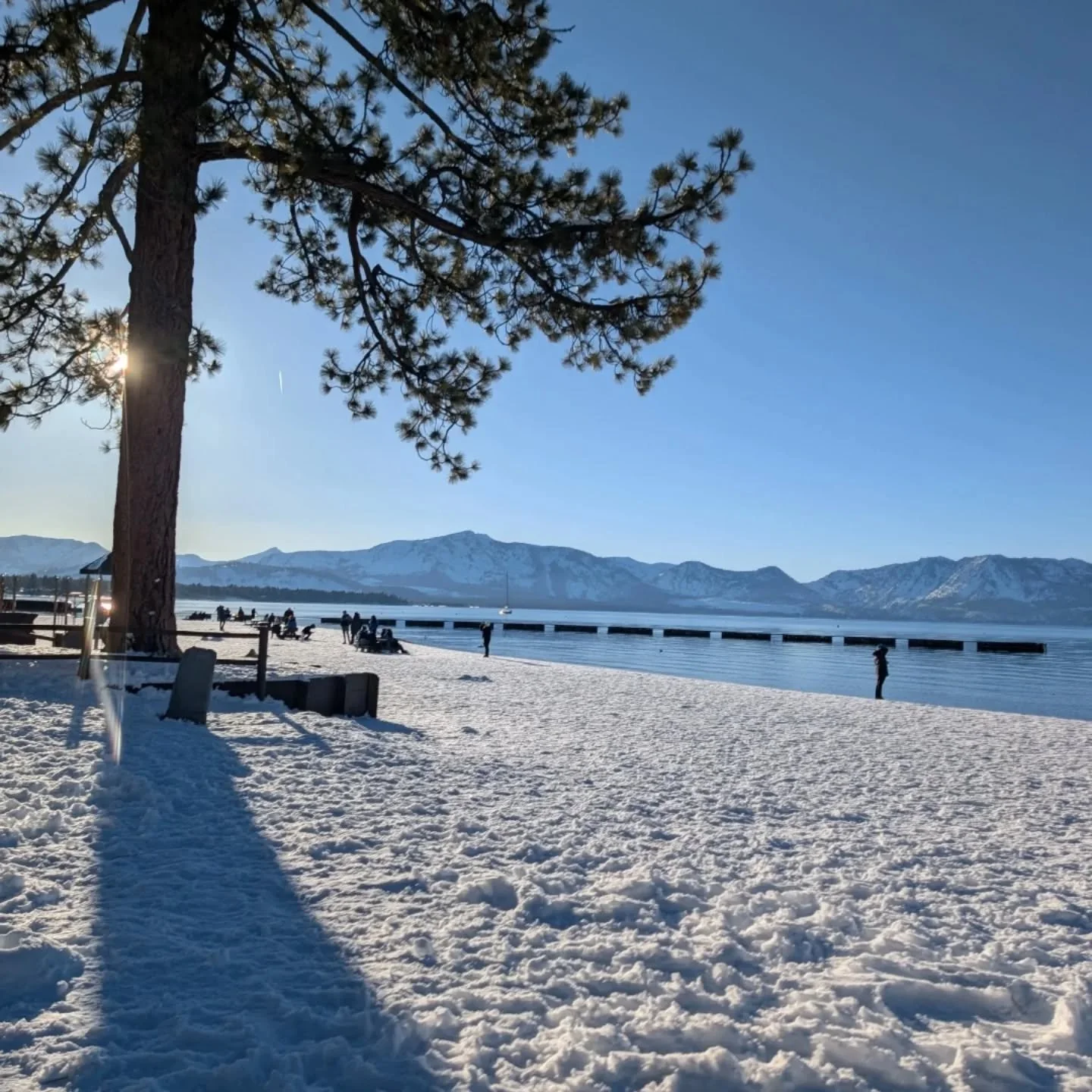 We are in a dark winter right now...😞

Many of us are grieving , locally and nationally, in more ways than one. It can feel impossible to move forward with business as usual when our hearts are breaking for the world we&rsquo;re in and the people ar