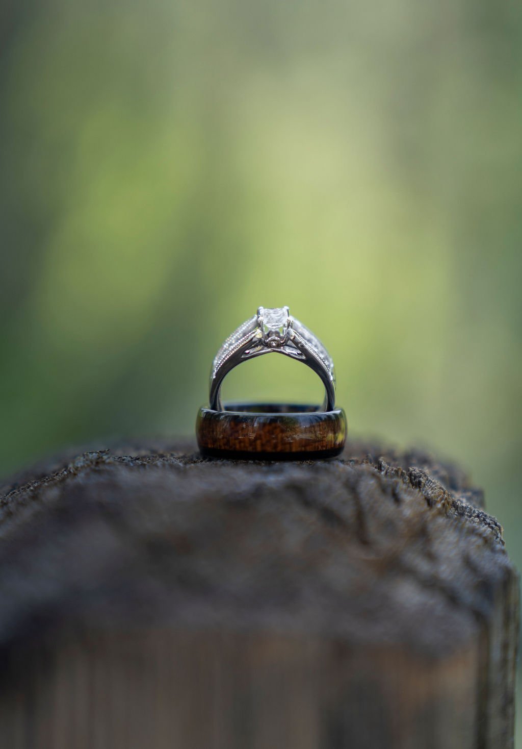 ring stack in Galena Creek