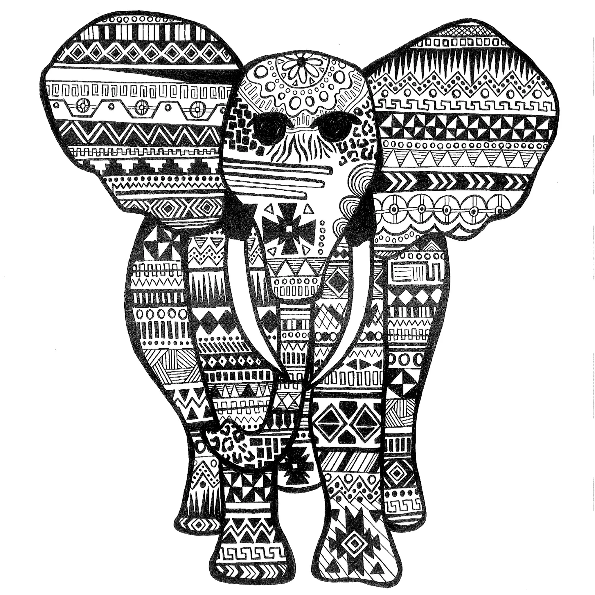 elephant.jpg