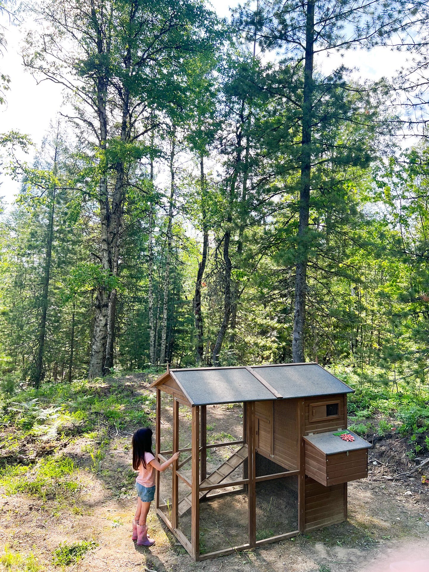 Some days I look around our land and feel like we&rsquo;re behind.

We bought raw land &mdash; no house, no chickens, no infrastructure. Just the dream.
And in my head, I thought we&rsquo;d be further along by now.
I thought we&rsquo;d have chickens 