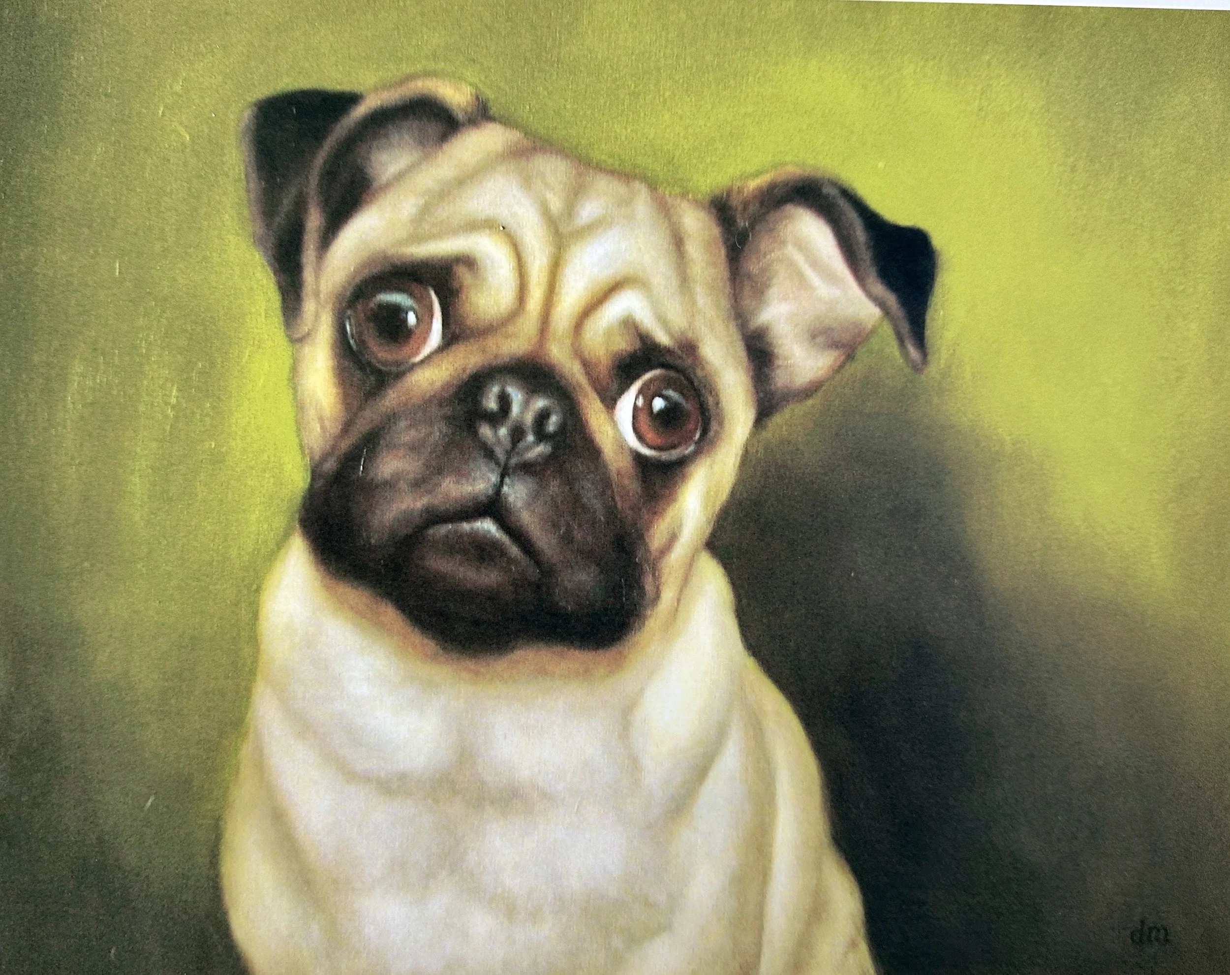 "Morgan" 11x14, Oil on Canvas