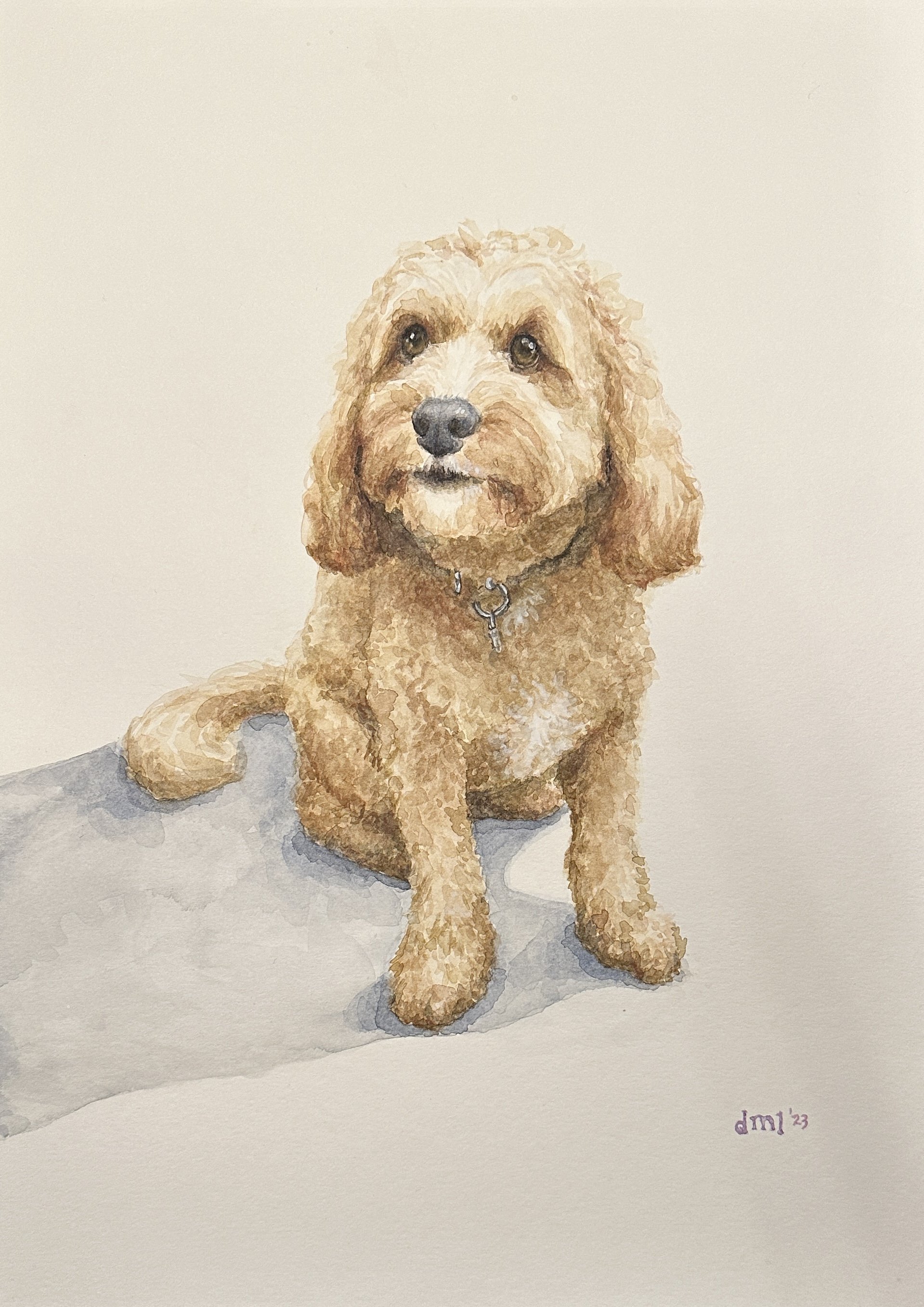 "Rosie", 11x14, Watercolor on Paper