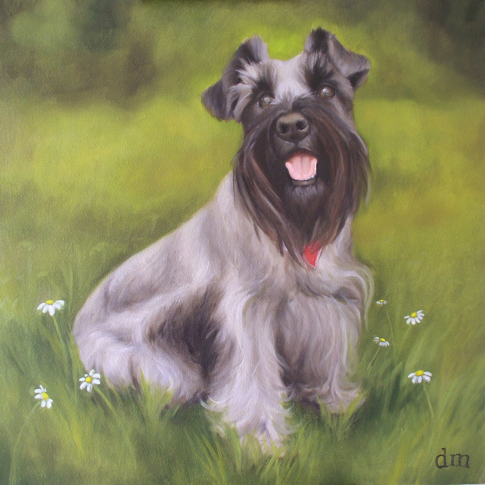 "Bella", 18x18, Oil on Canvas