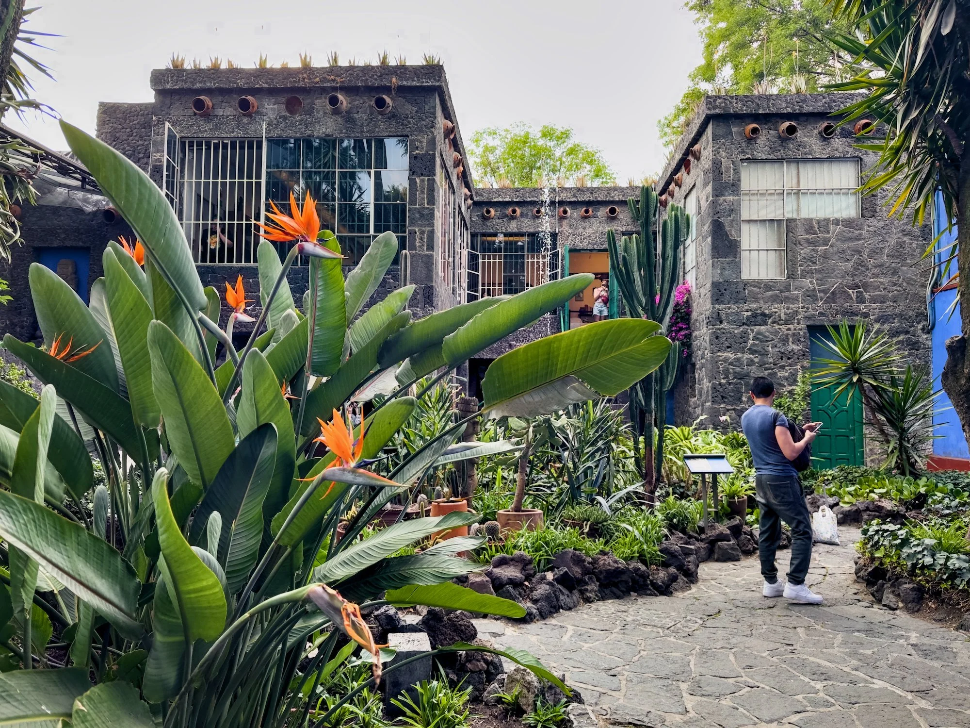 Coyoacán: Casa Azul. We are facing her painting studio which is inside the windows on the left.