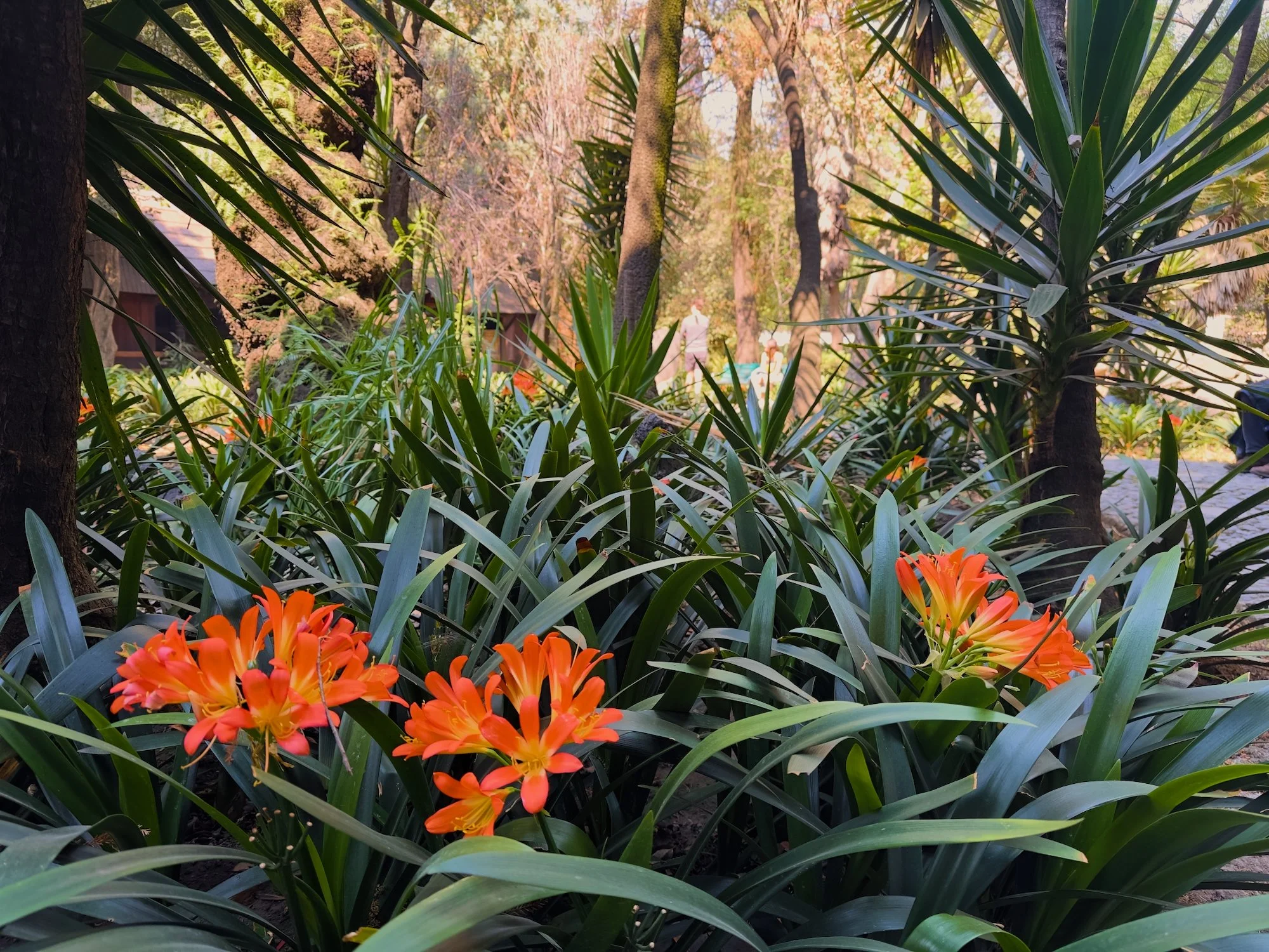National Museum of Anthropology: The grounds around the museum are wonderful.
